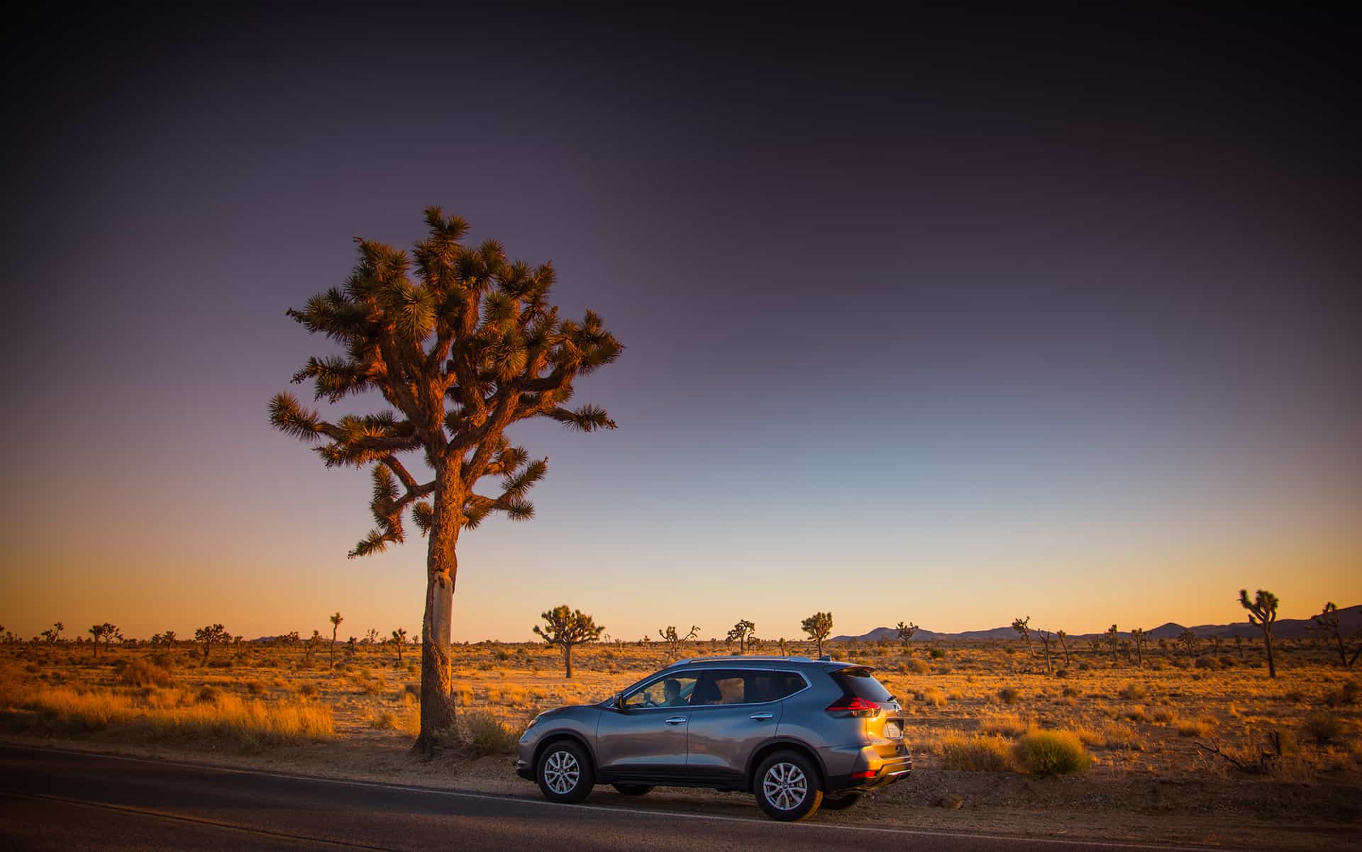 location voiture californie location voiture road trip californie