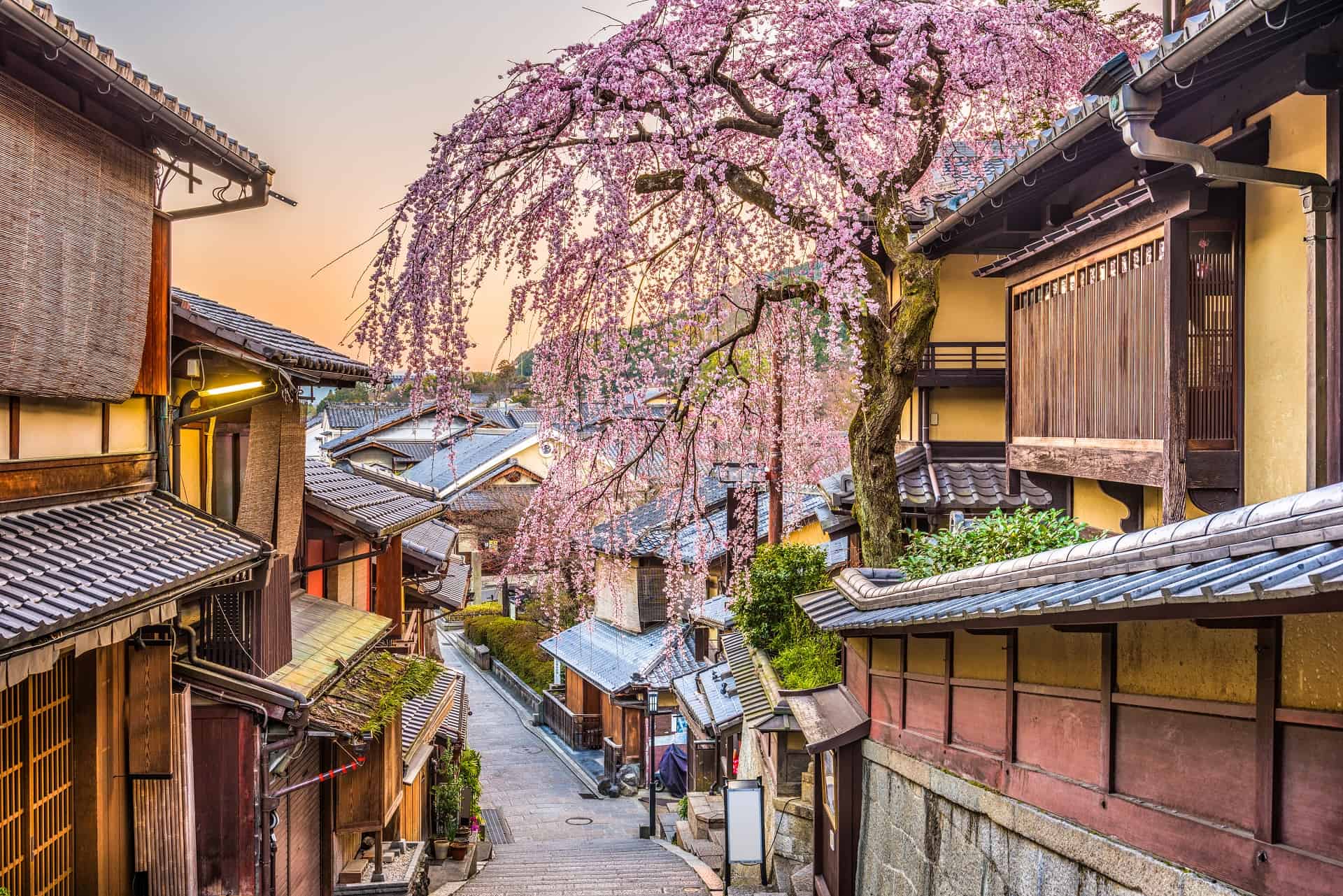 higashiyama tokyo higashiyama tokyo