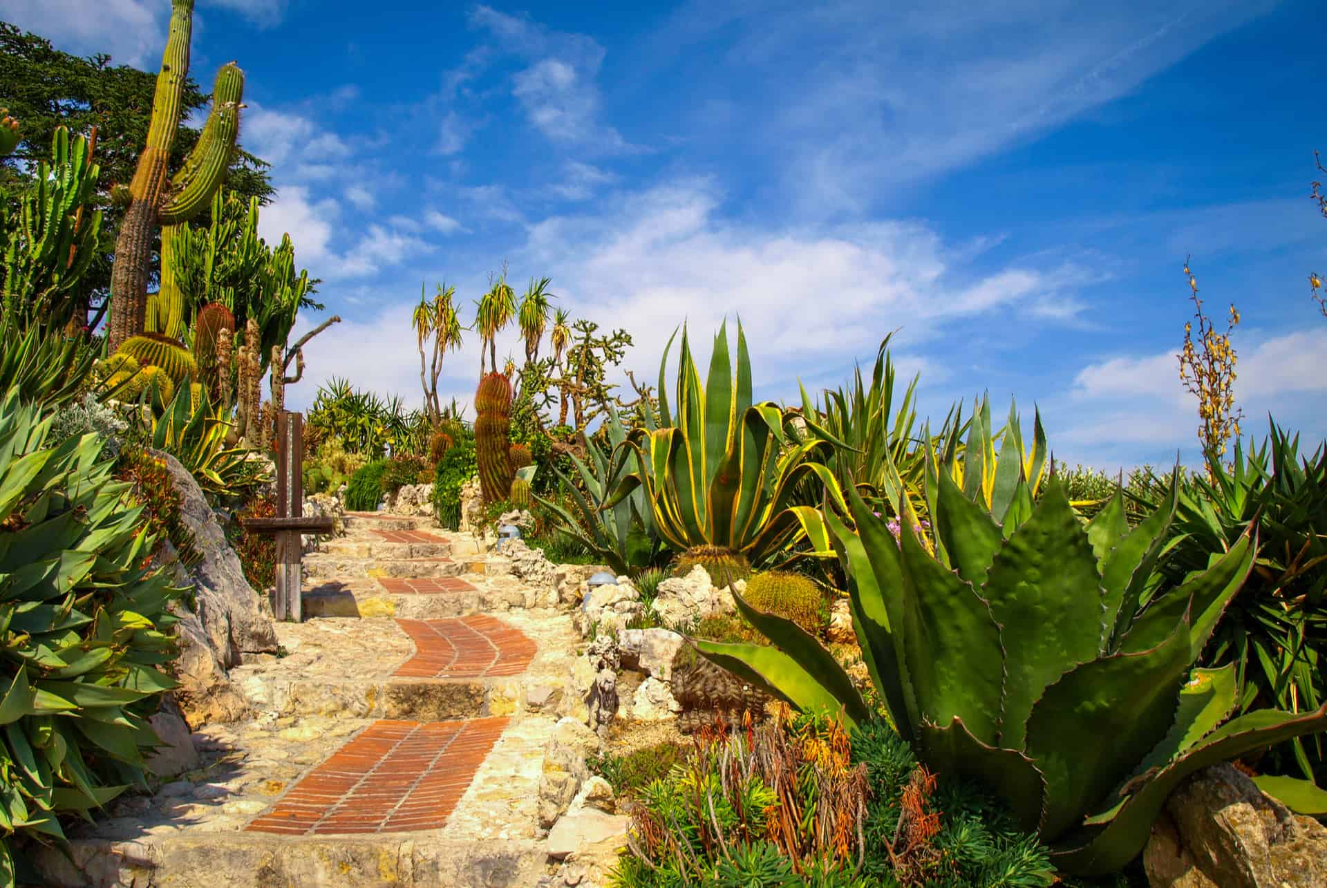 jardin exotique eze jardin exotique eze villages provence