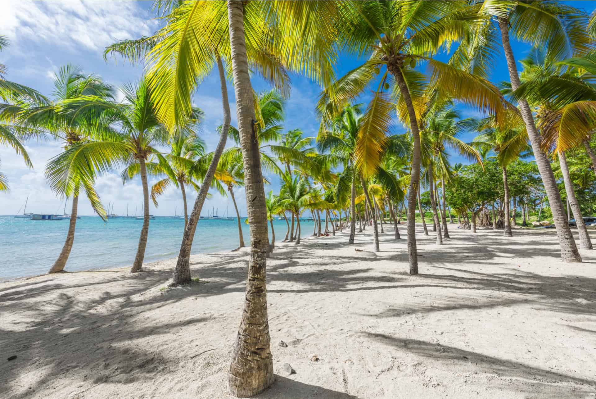 plage de guadeloupe îles paradisiaques pas chères guadeloupe