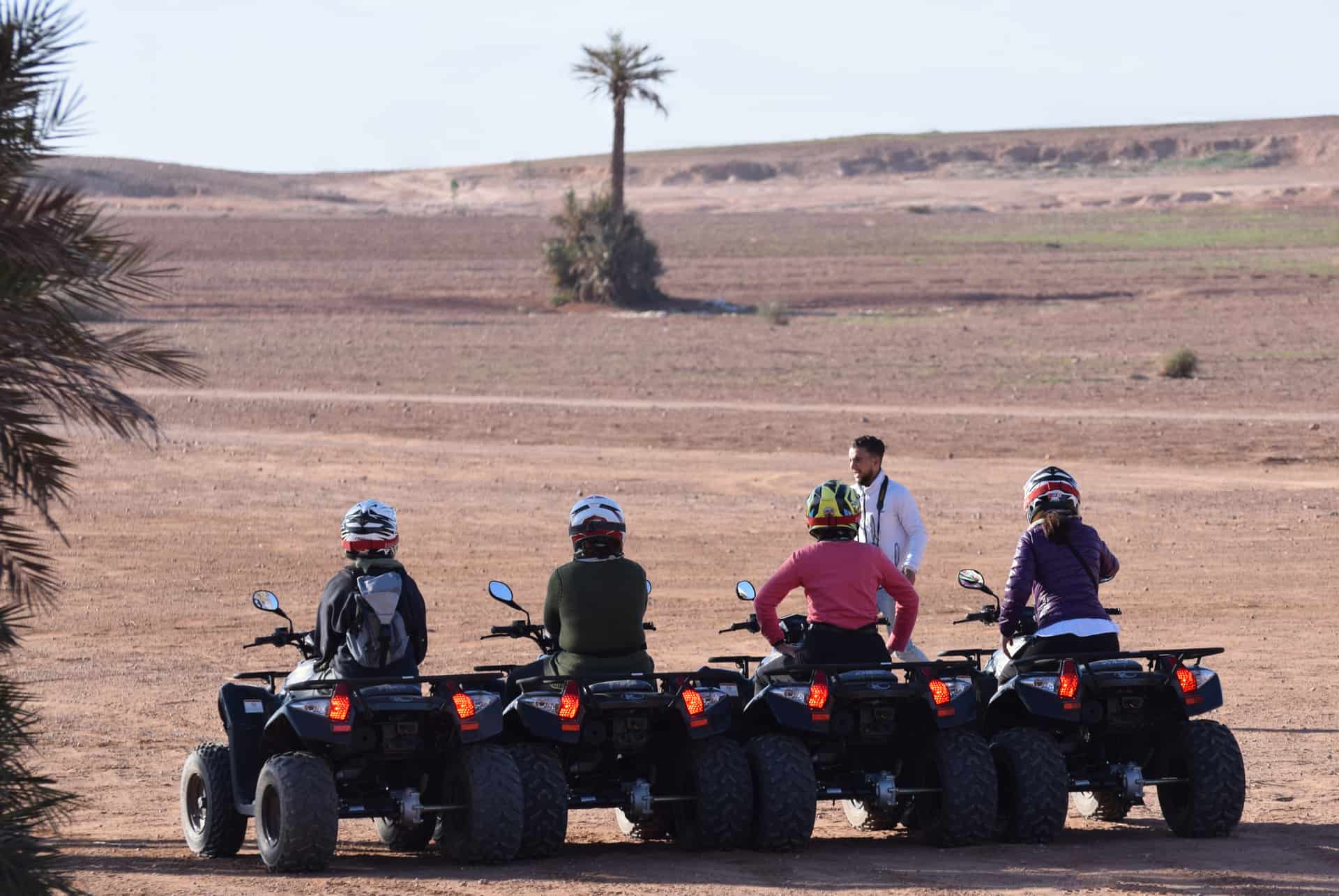 quad palmeraie quad palmeraie