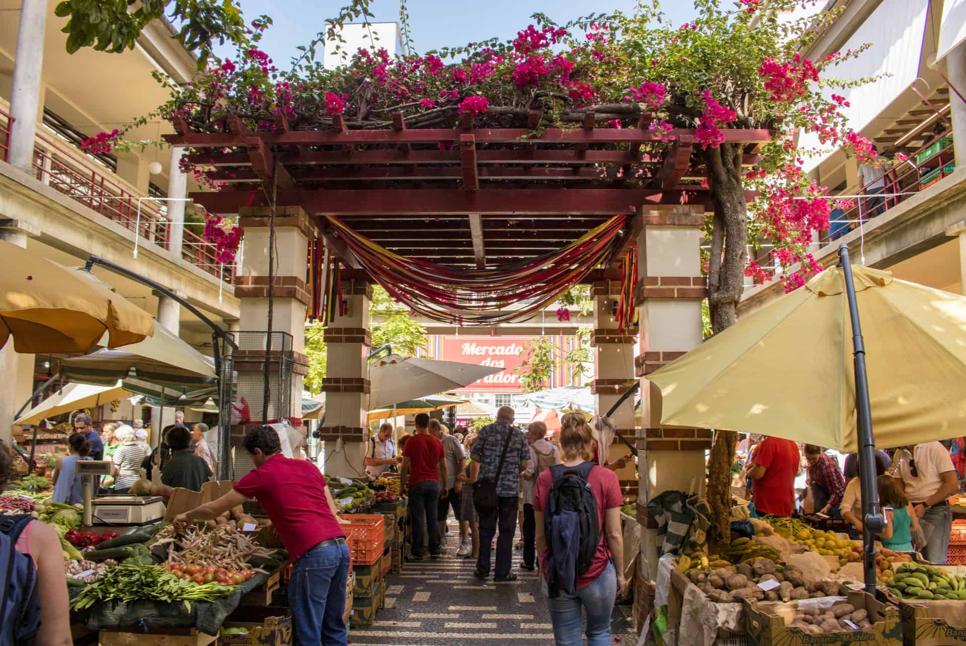 funchal madere destinations paradisiaques madere