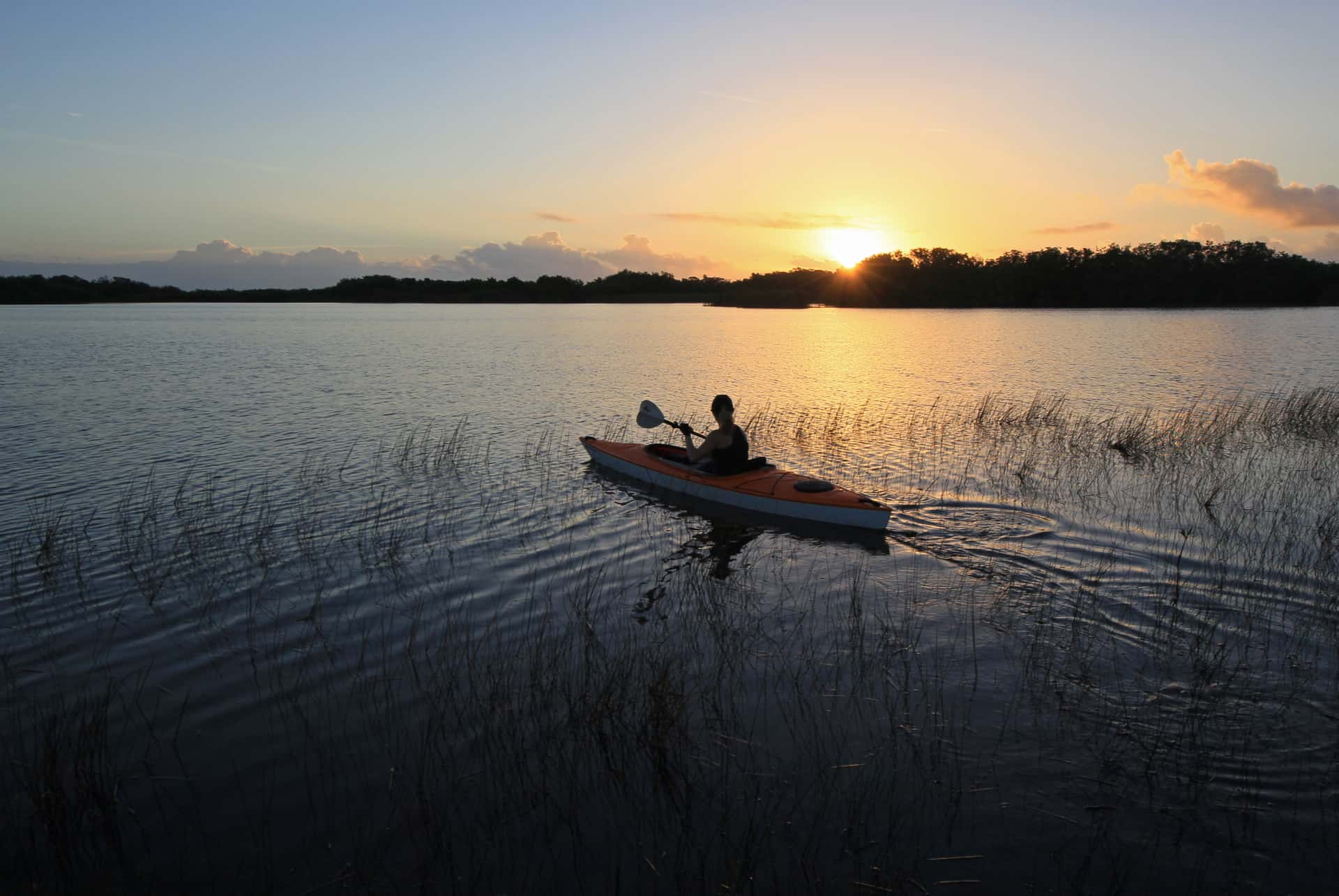 kayak dans les everglades kayak
