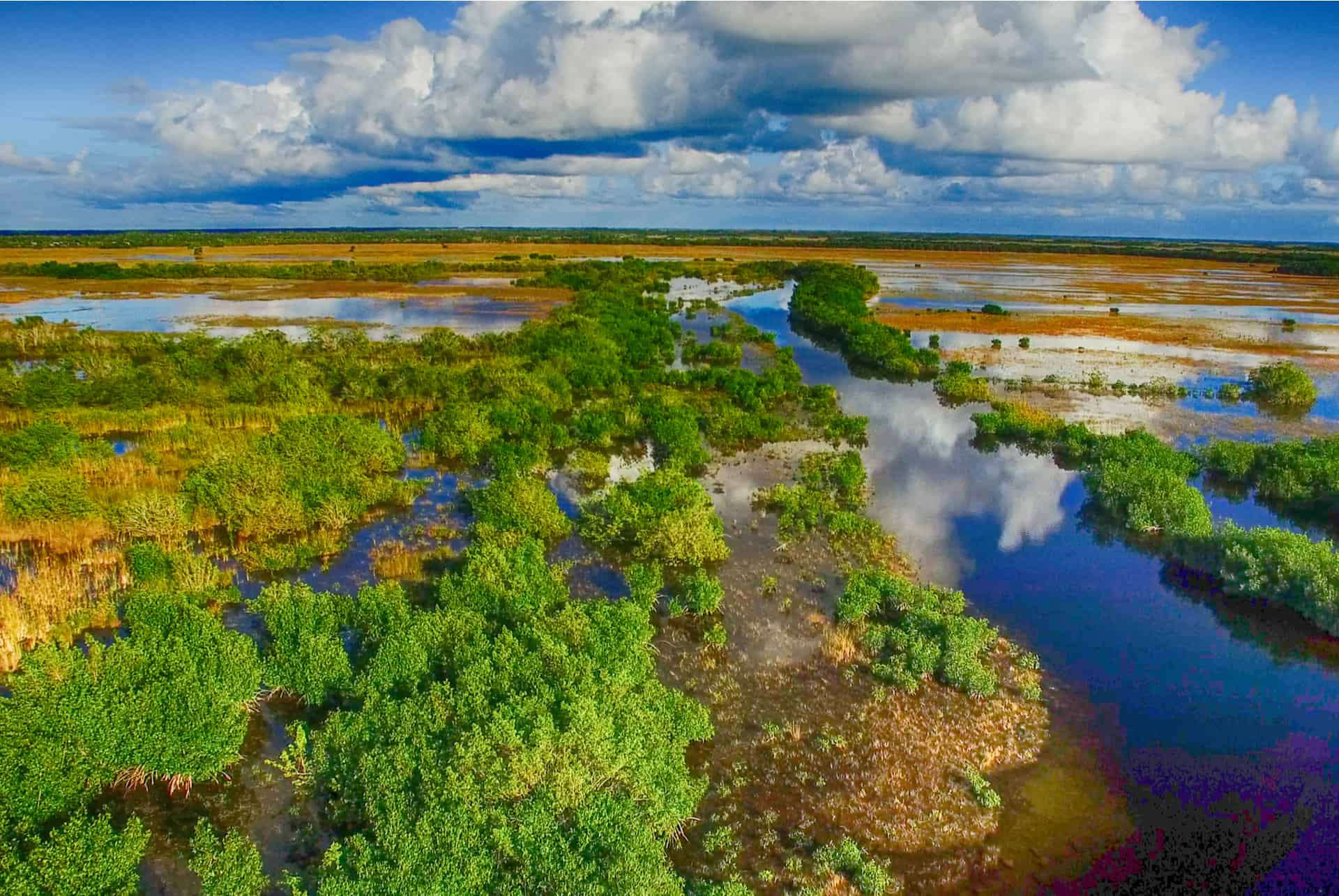 partir visiter les everglades partir visiter les everglades