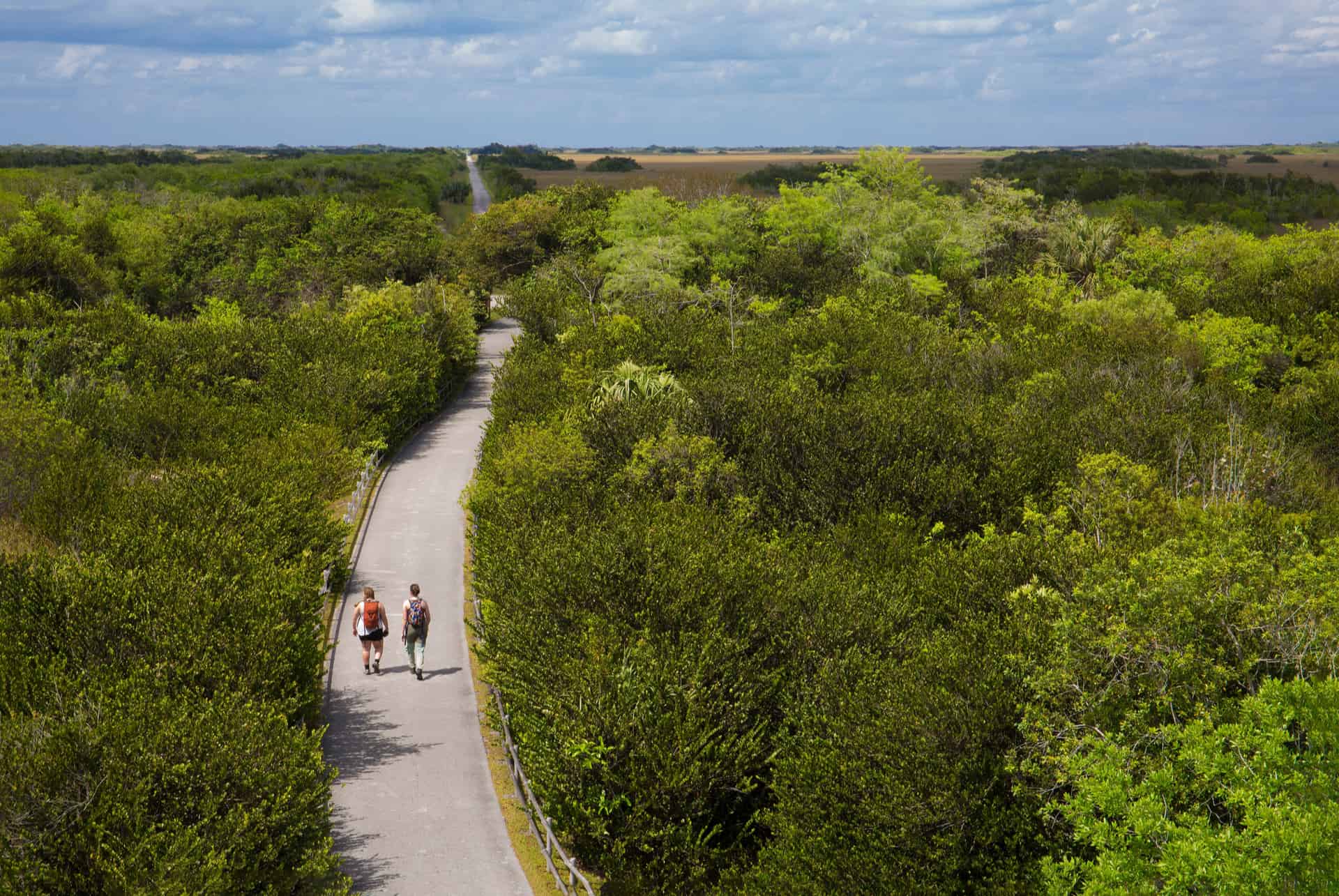 randonner dans les everglades randonner dans les everglades