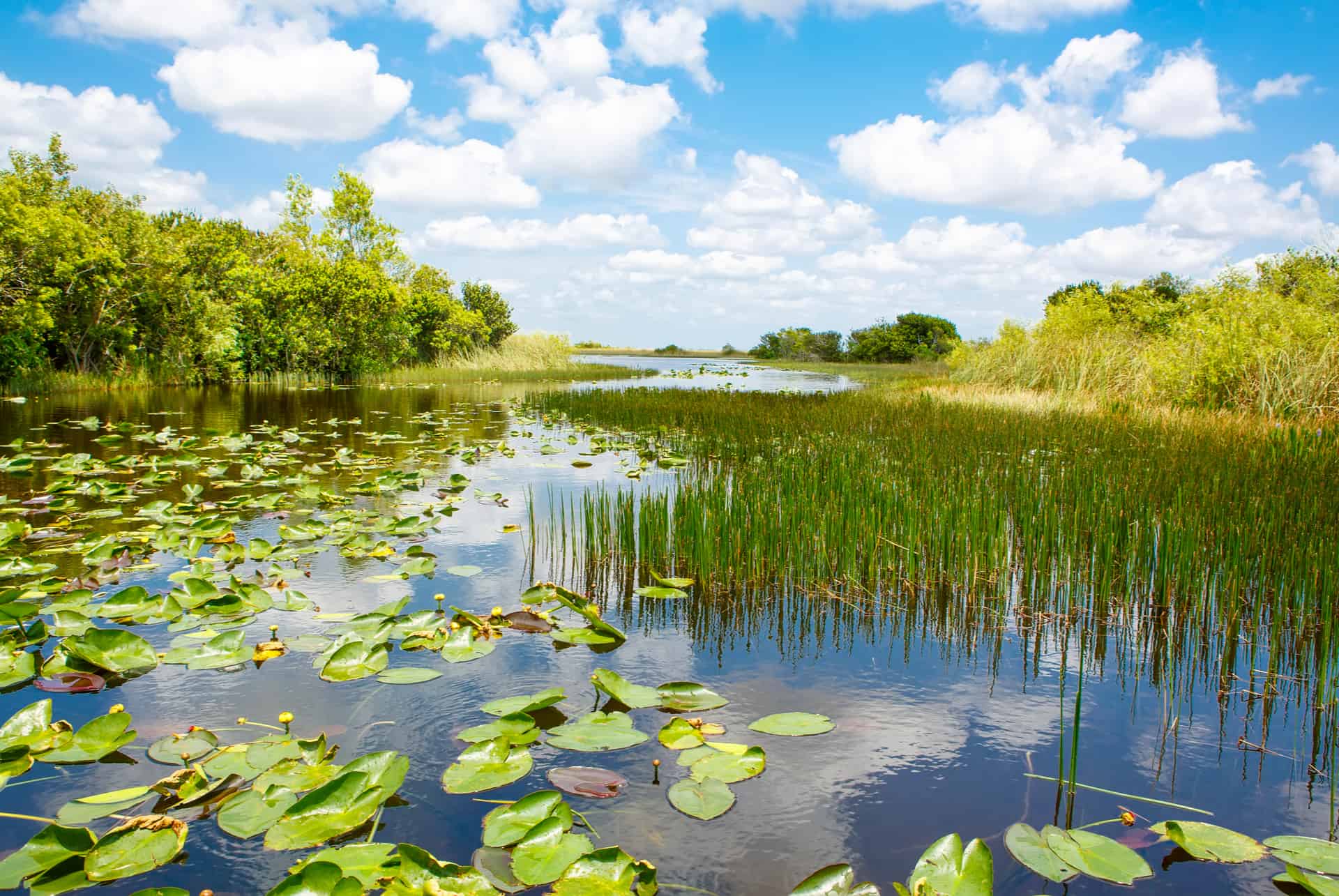 visiter les everglades visiter les everglades