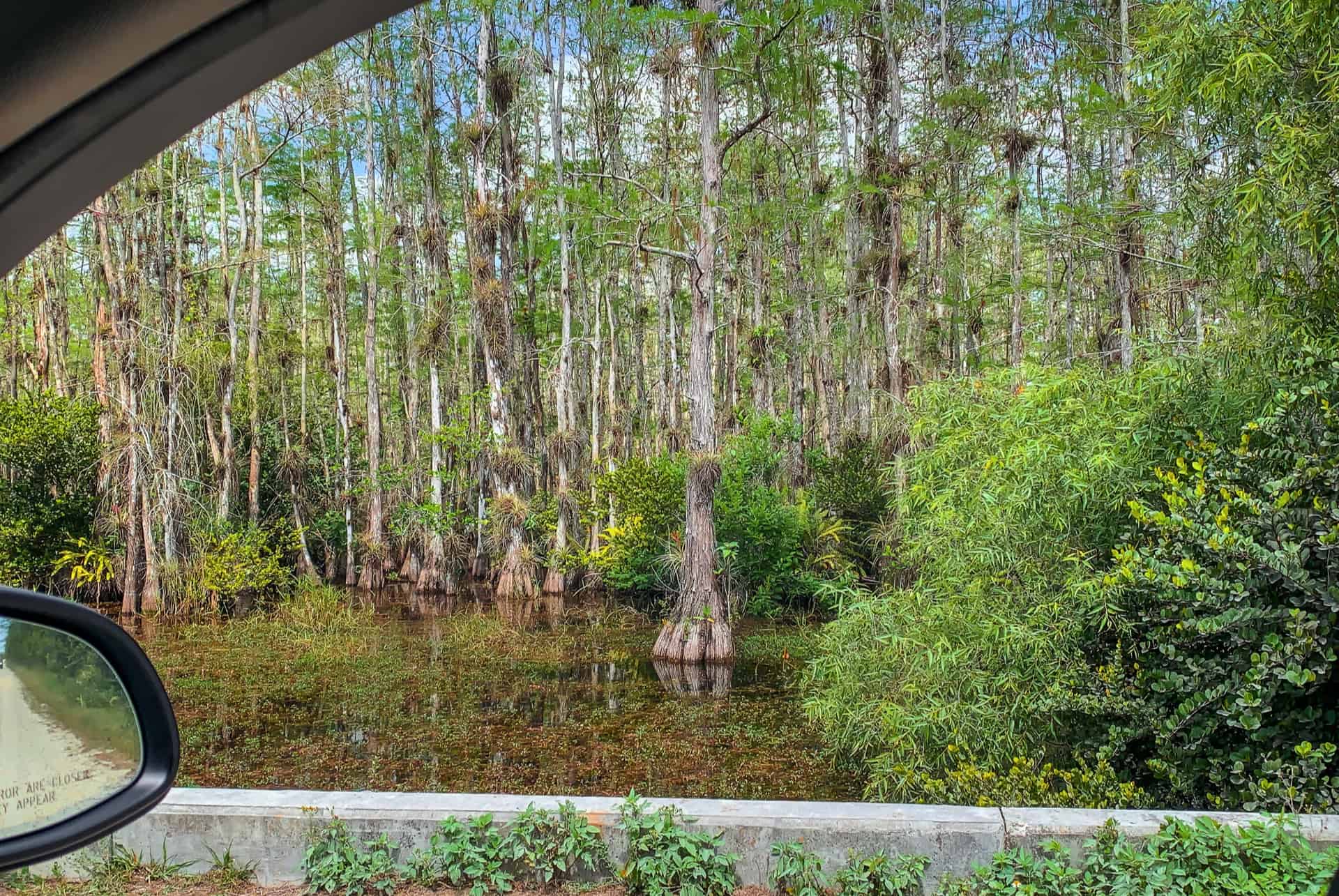 voiture dans les everglades voiture dans les everglades