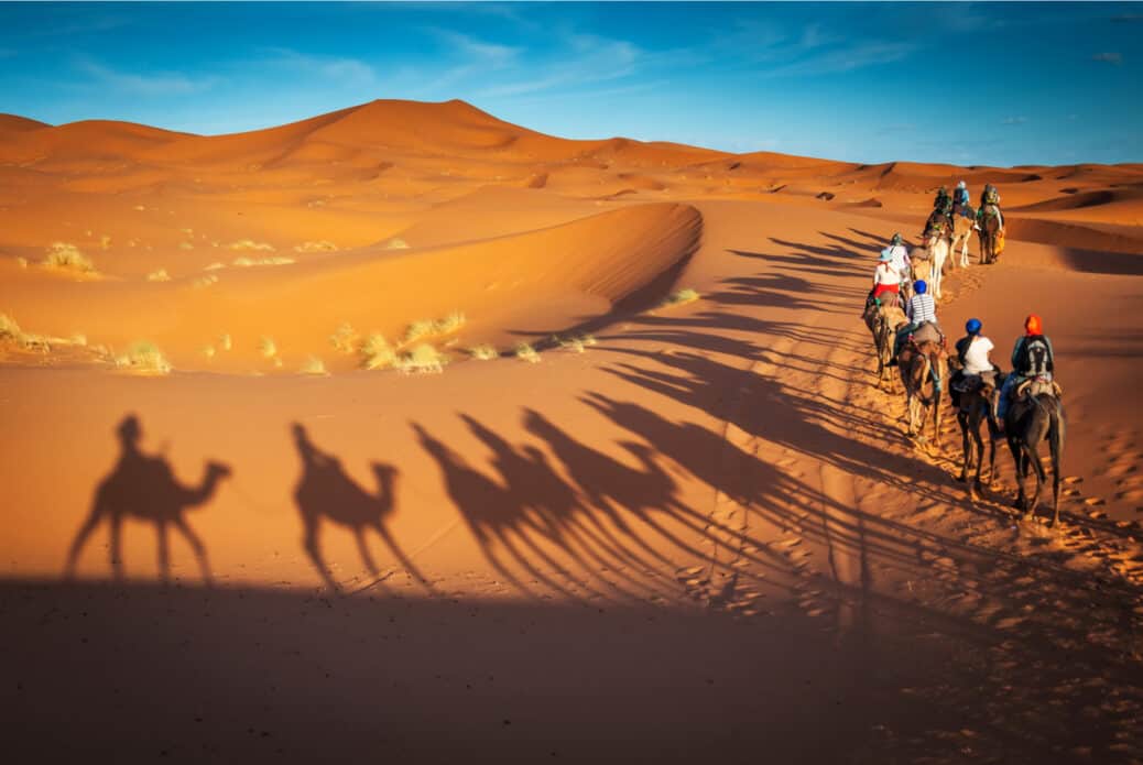 activites a faire dubai prix activites dubai