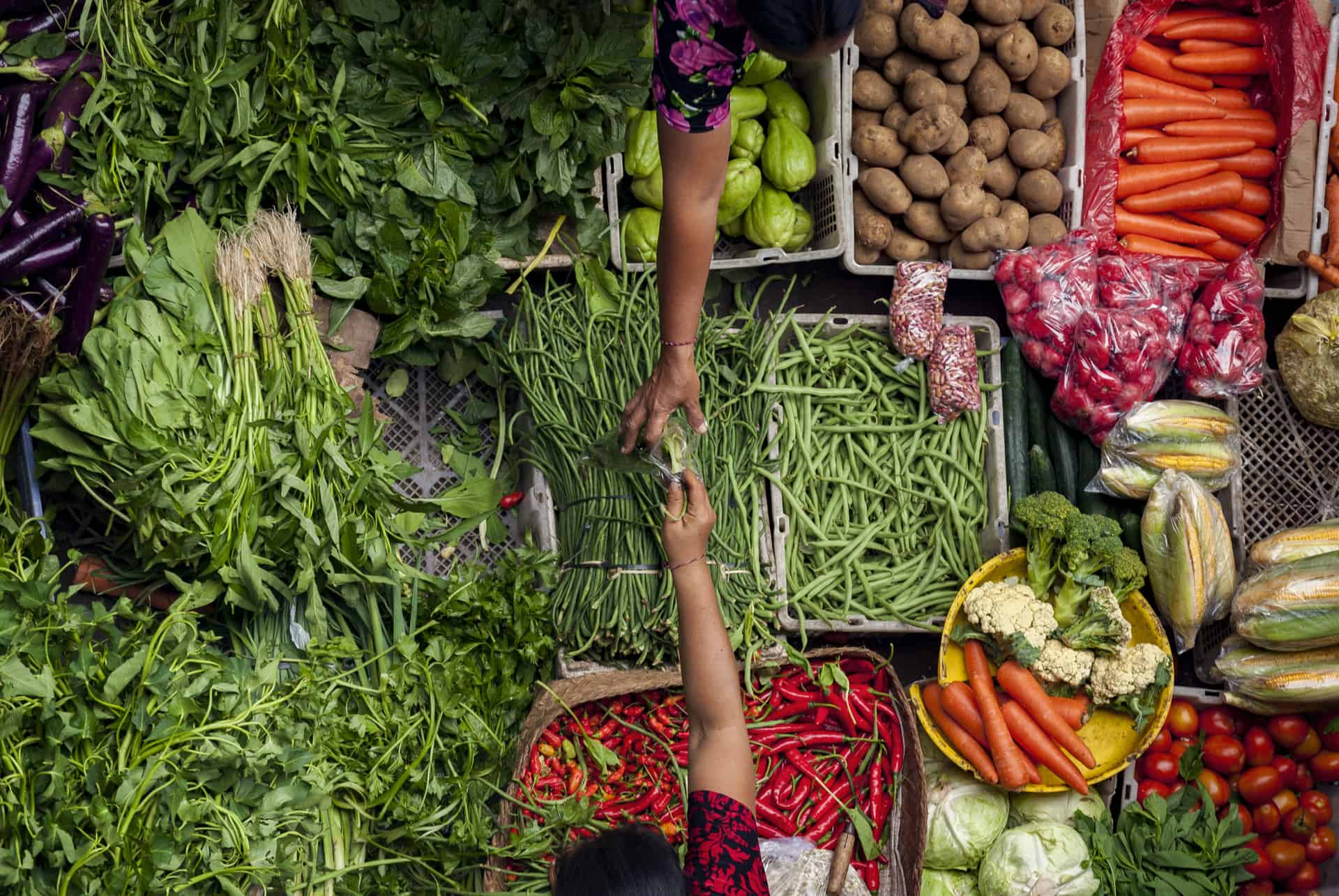 que faire ubud que faire ubud