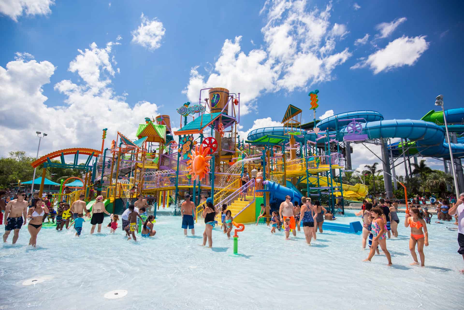 aquatica aquatica