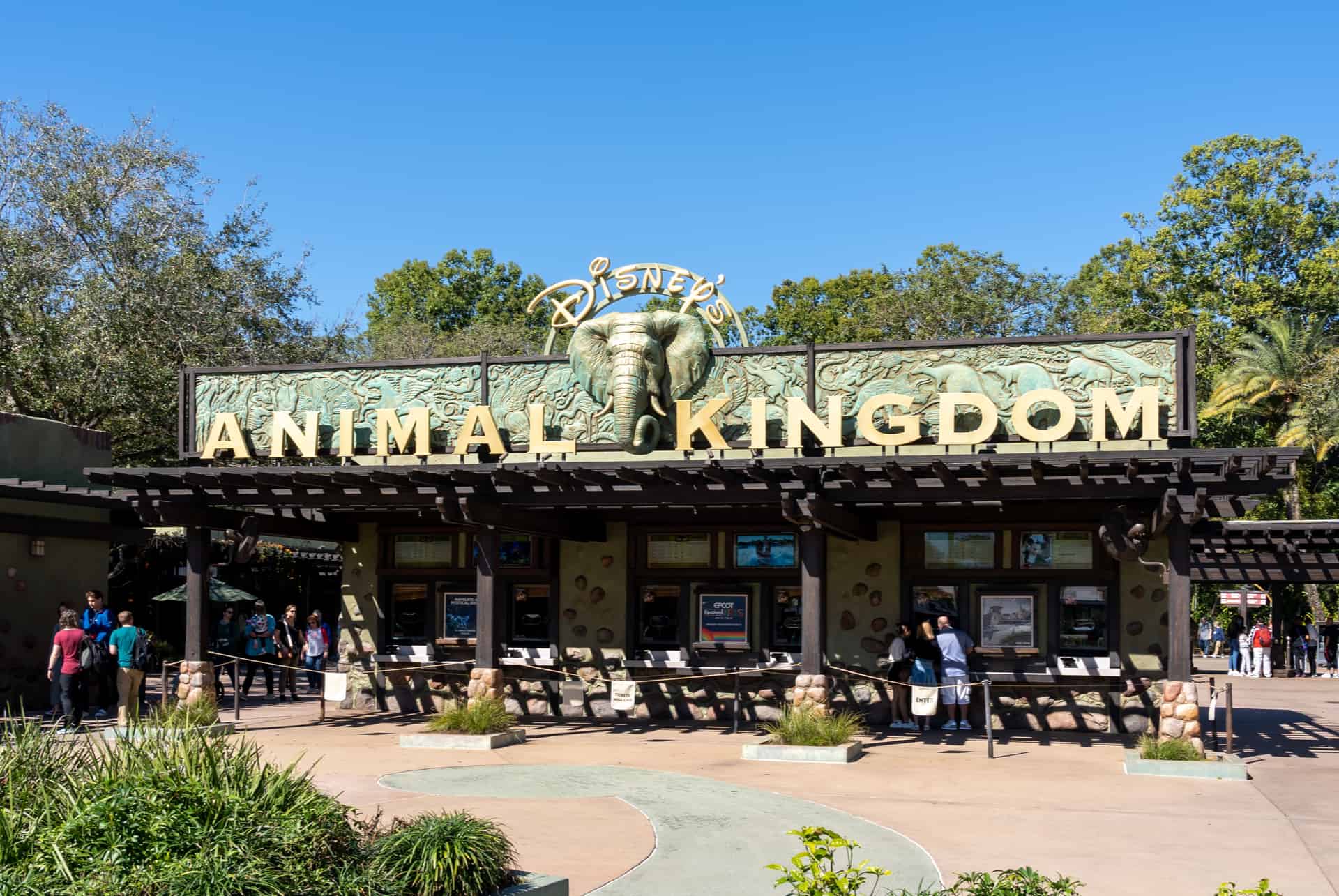 disney animal kingdom disney animal kingdom