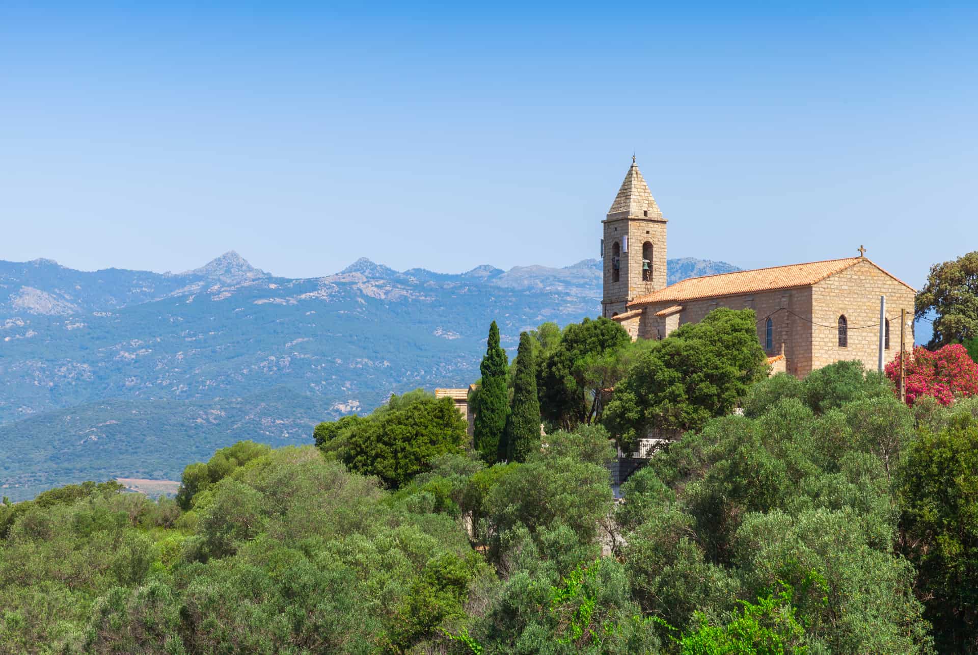 figari corse figari corse