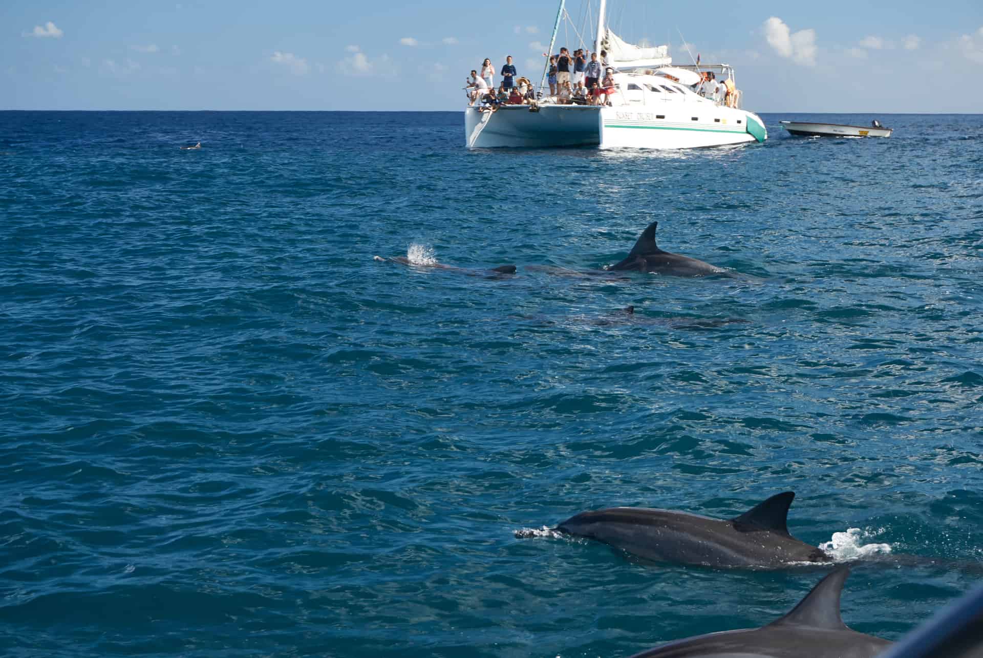 catamaran sortie ile maurice catamaran sortie ile maurice