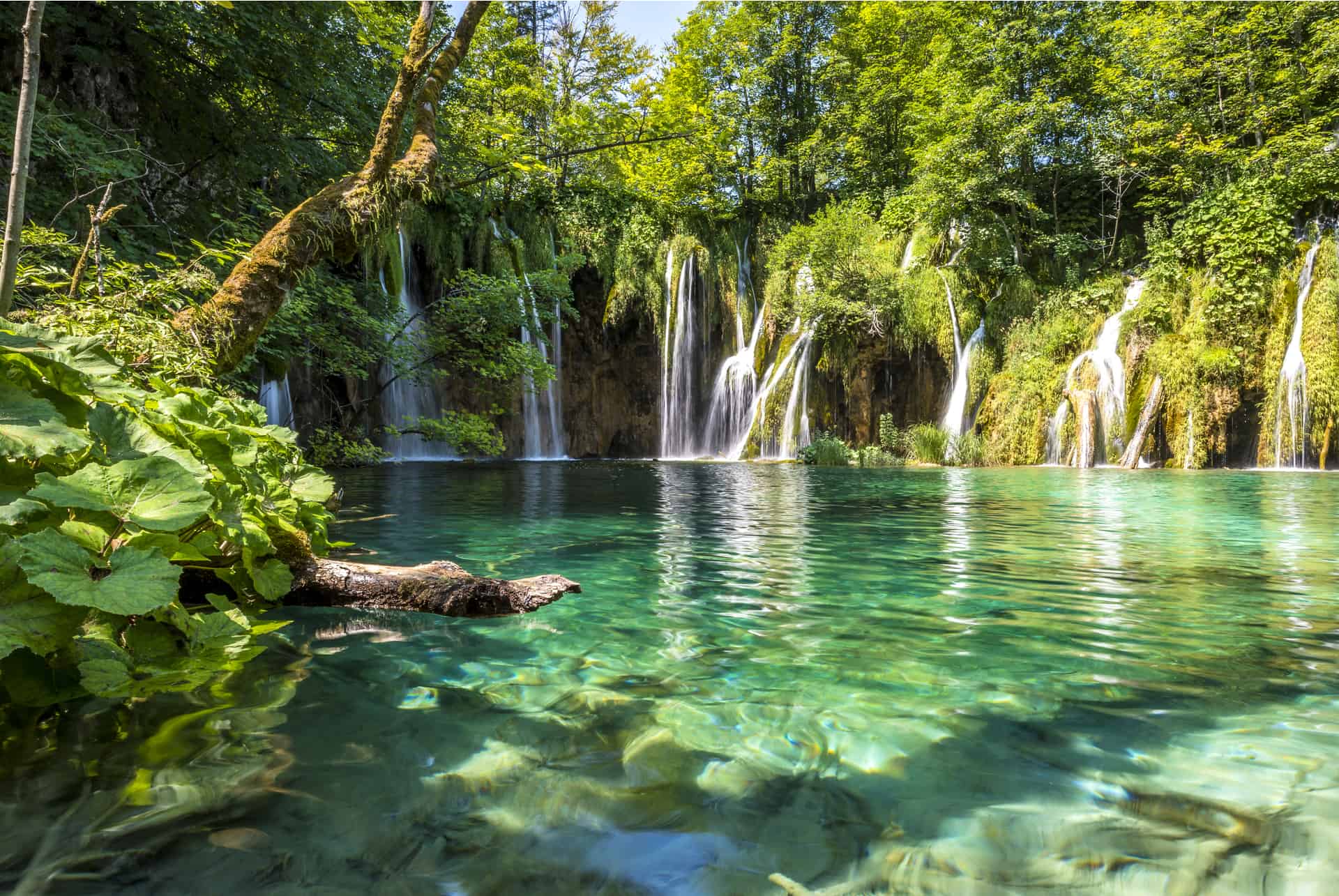lacs de plitvice lacs de plitvice