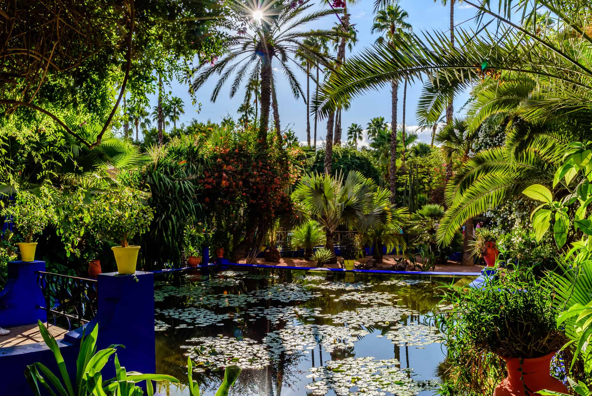 verdure jardin majorelle verdure jardin majorelle