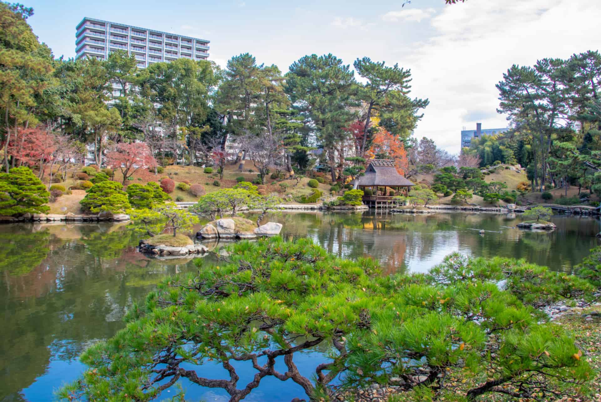 jardin botanique hiroshima jardin botanique hiroshima