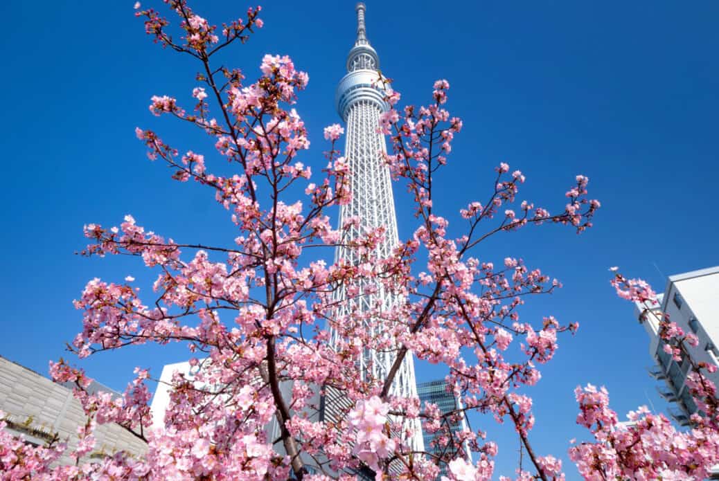 skytree tokyo prix pour un voyage au japon skytree tokyo prix pour un voyage au japon