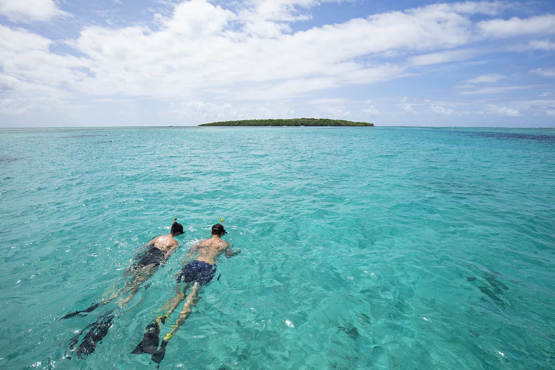snorkeling snorkeling