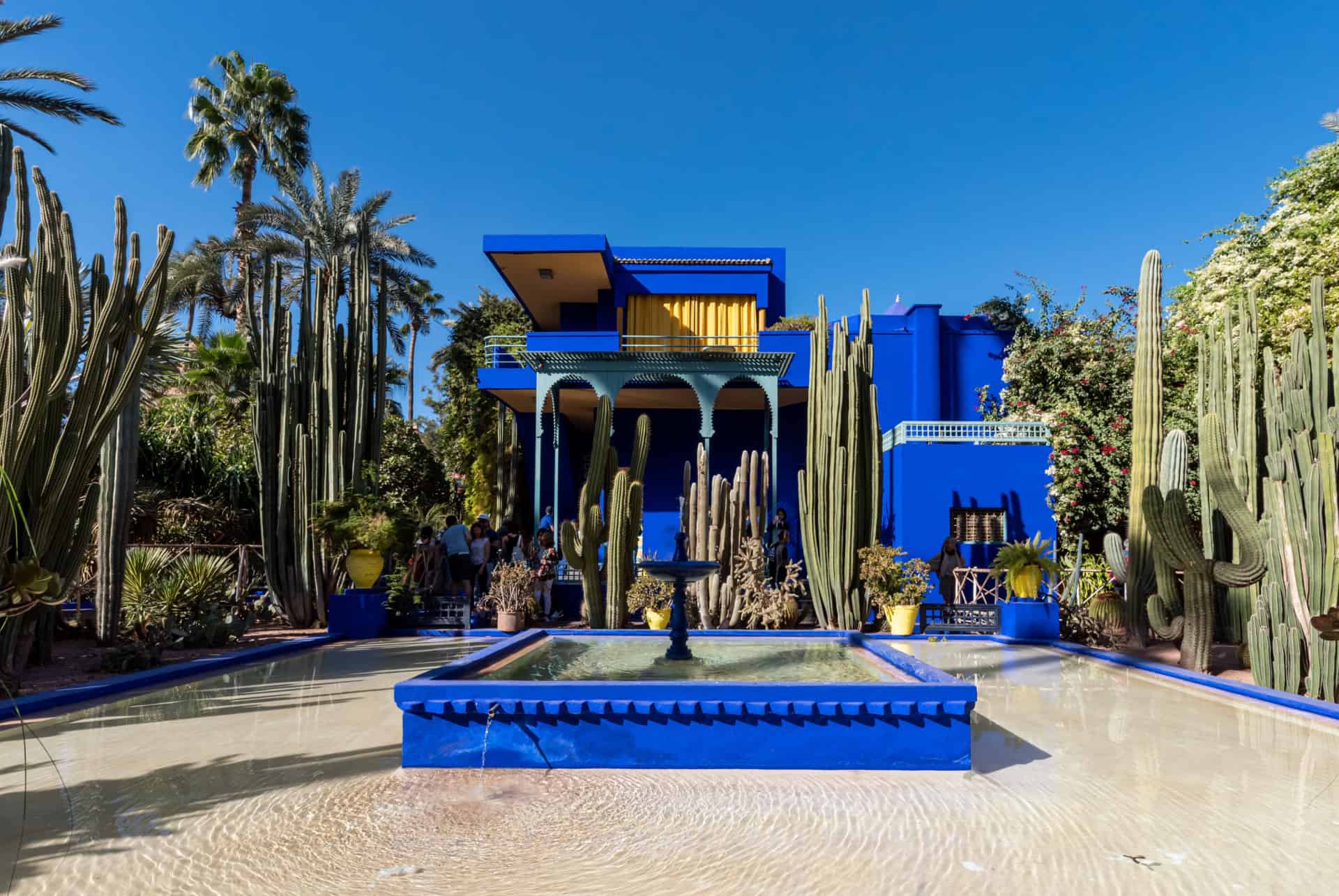 jardin majorelle jardin majorelle