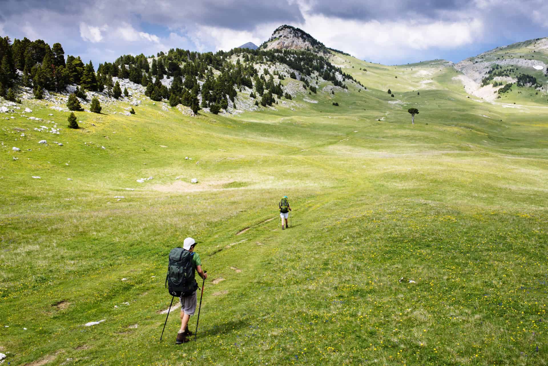 que faire dans les alpes vercors que faire dans les alpes vercors
