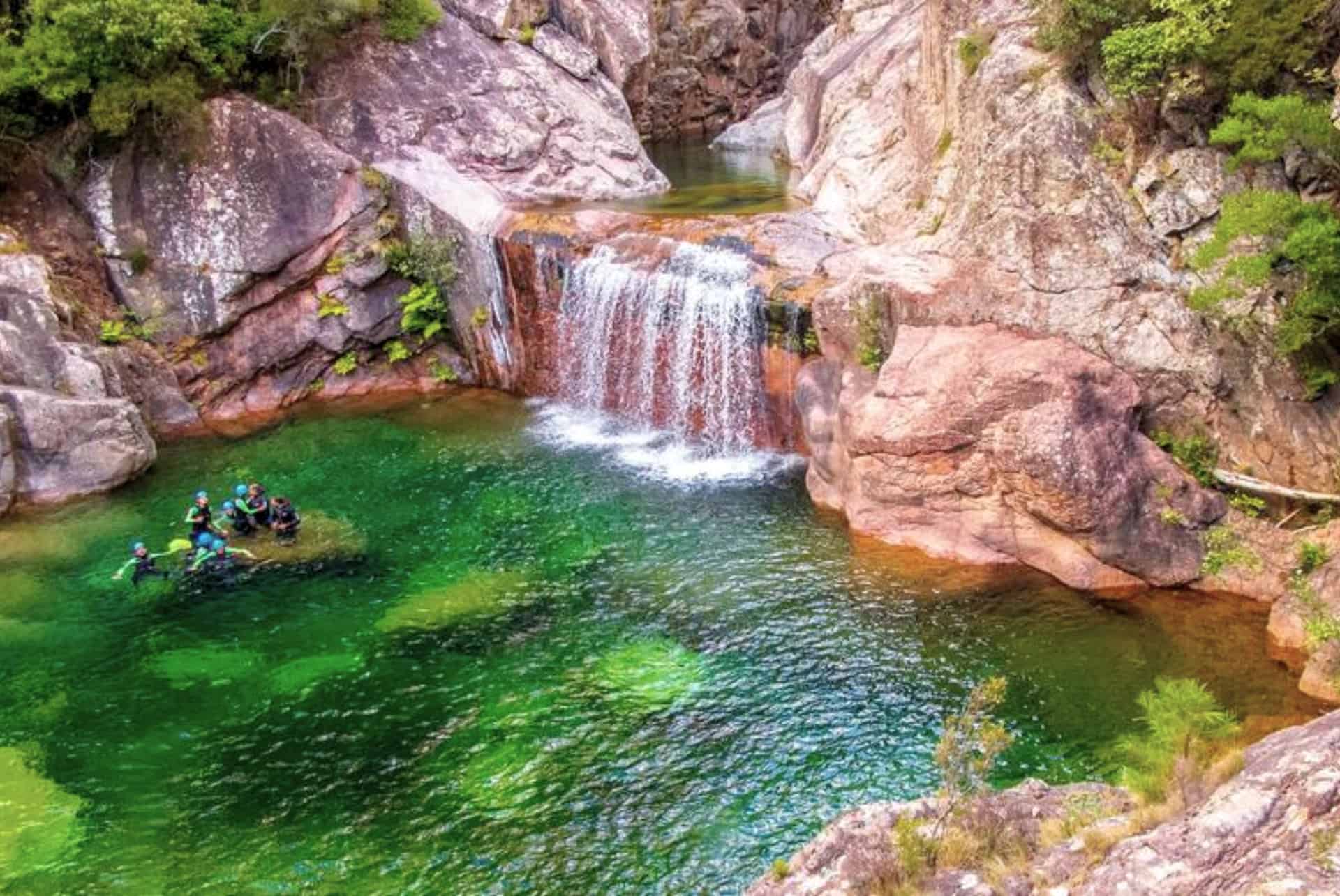 la vacca en corse la vacca en corse