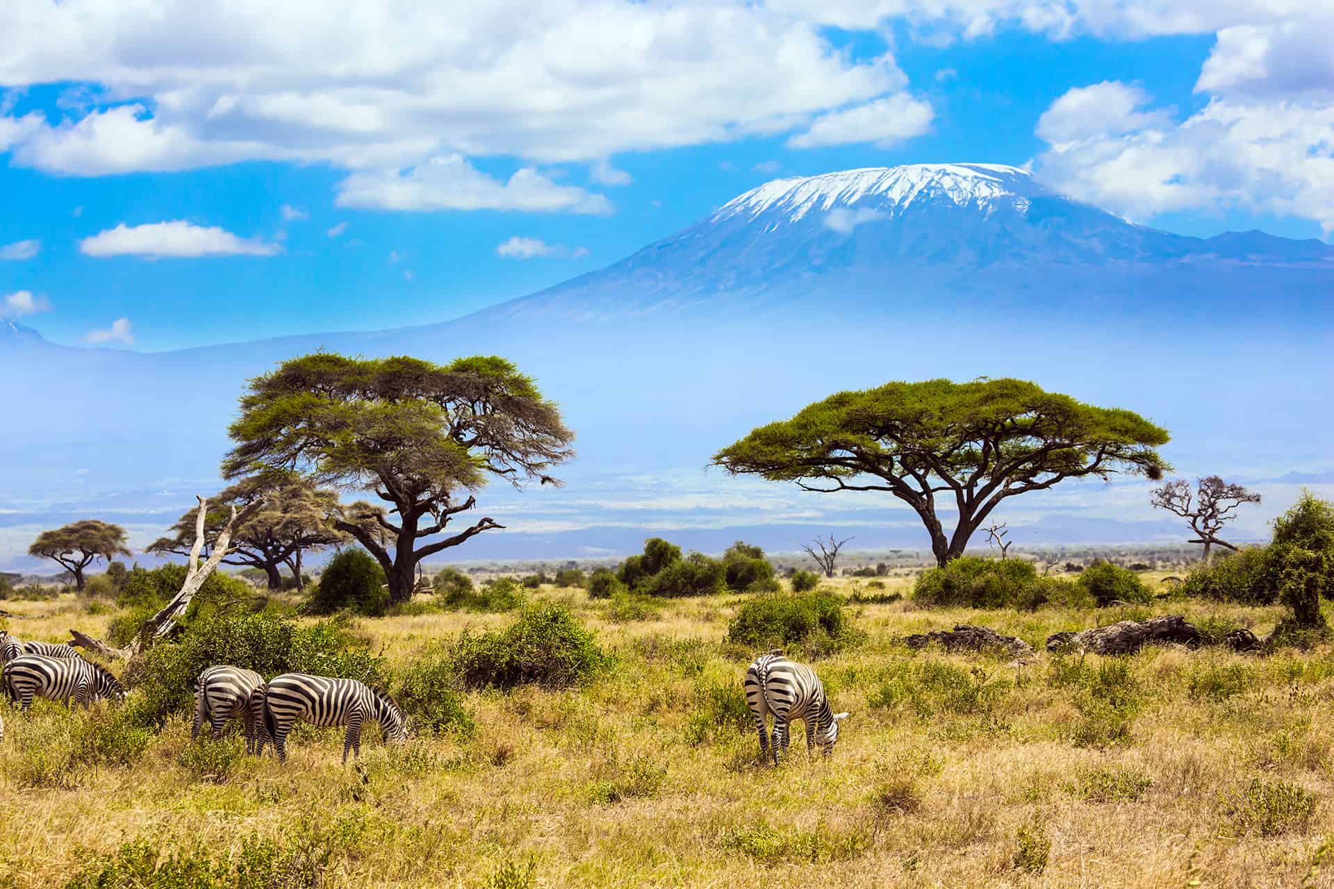 voyager au kenya voyager au kenya