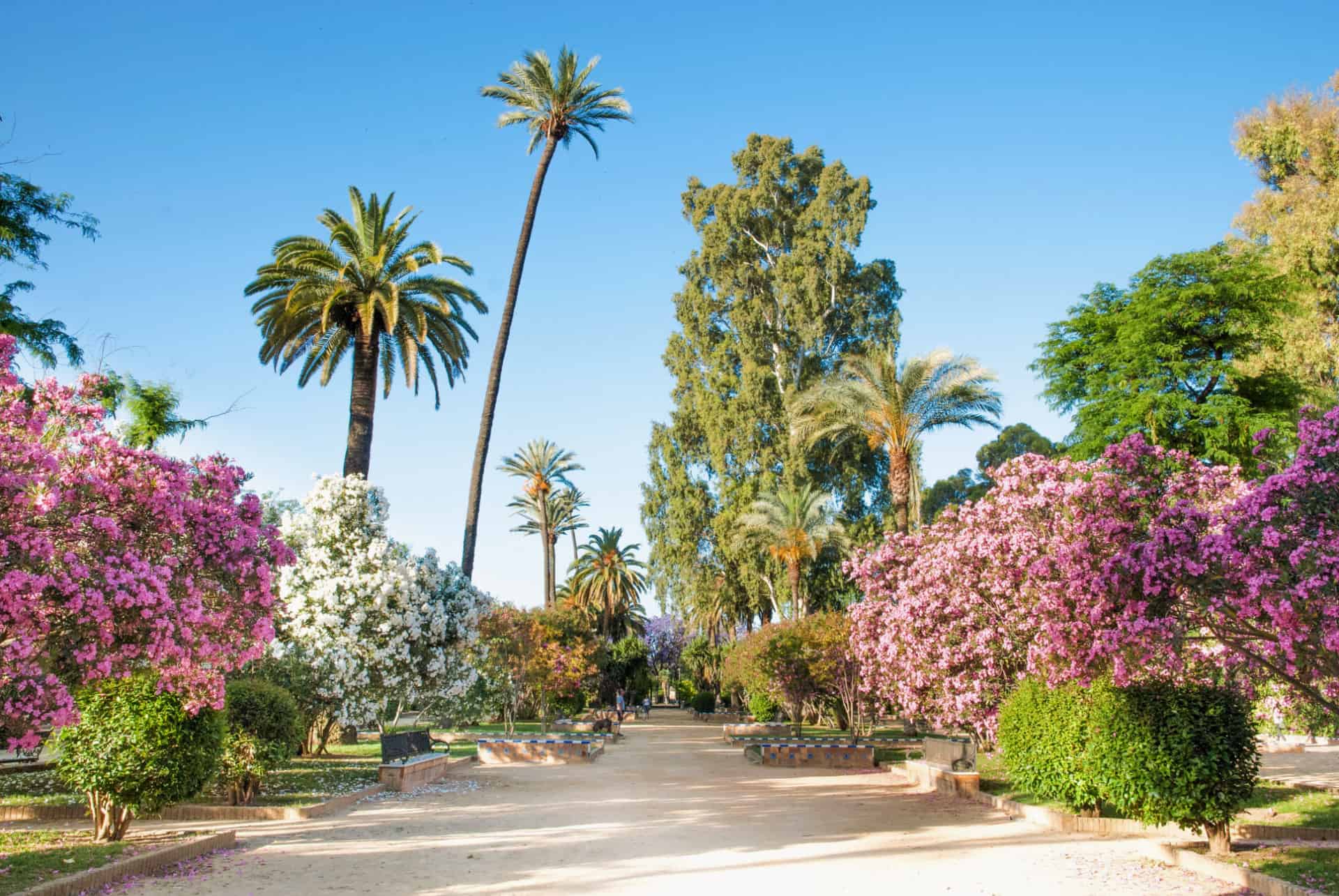 murillo gardens murillo gardens