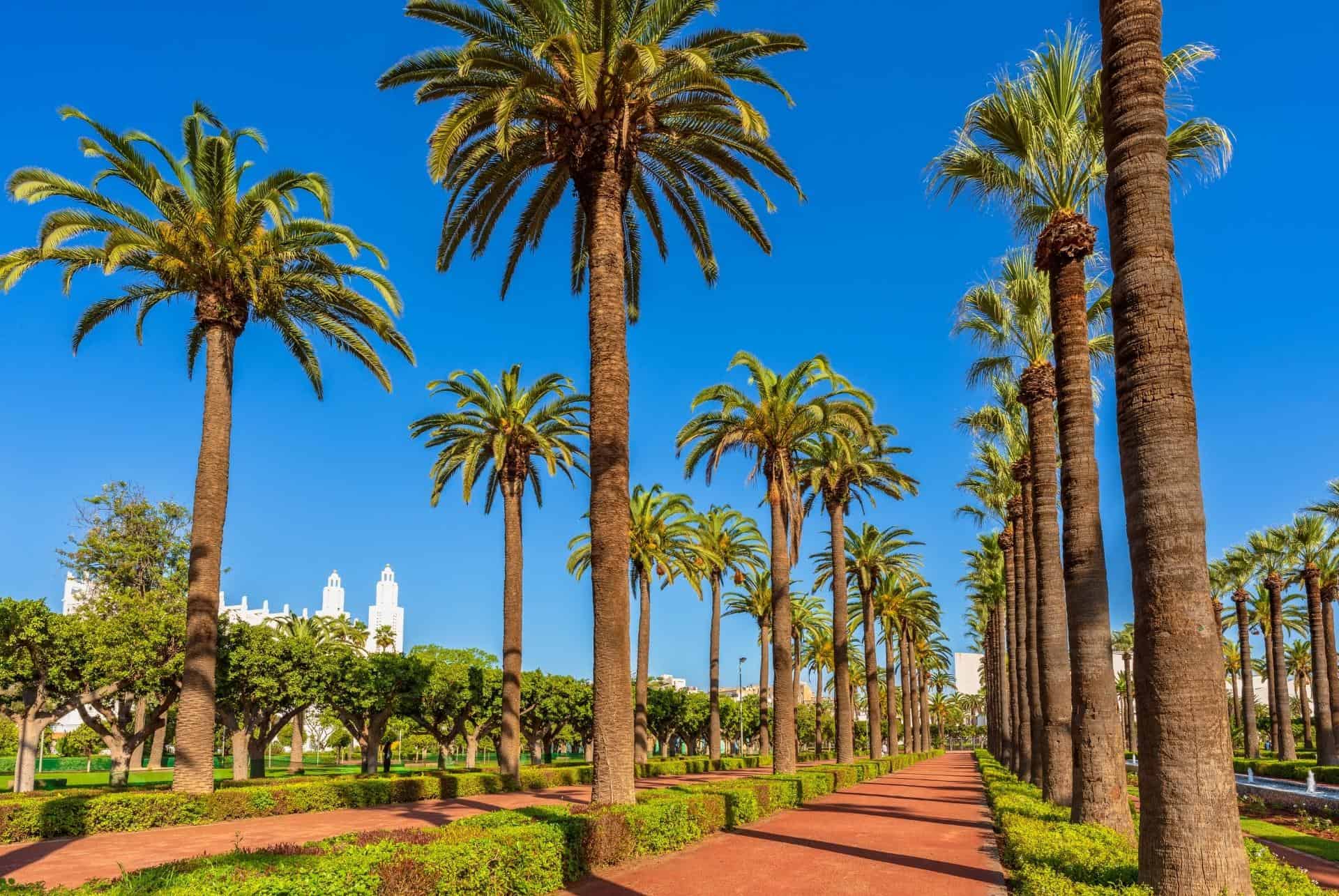 parc de la ligue arabe casablanca parc de la ligue arabe casablanca