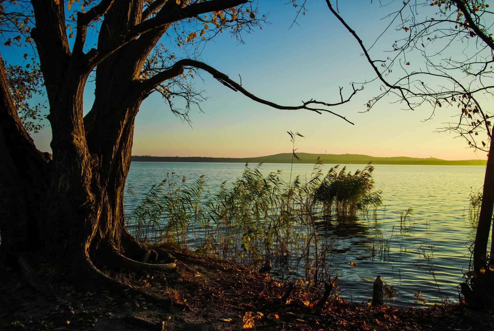 muggelsee muggelsee