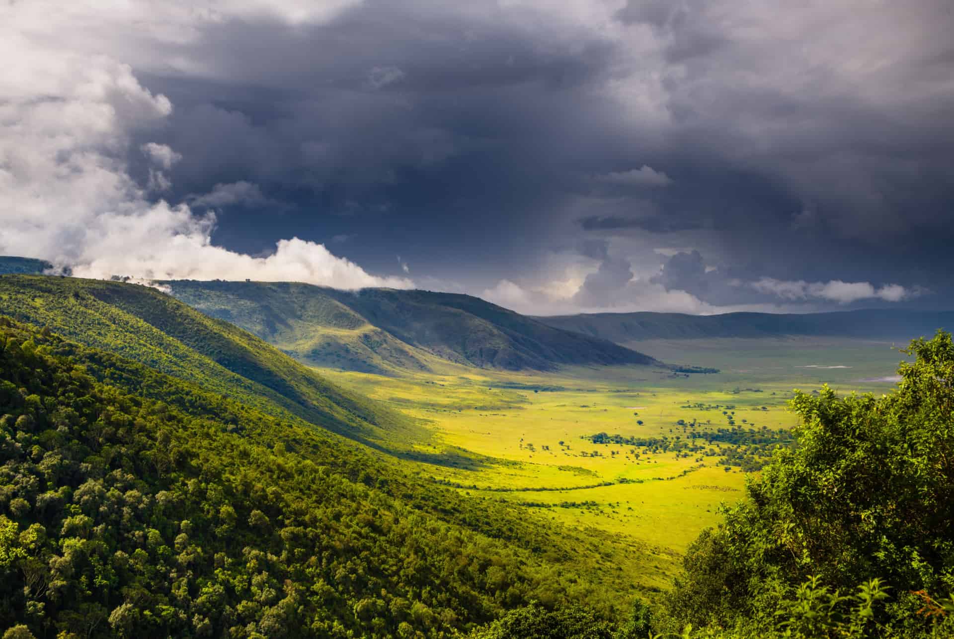 ngorongoro cratere ngorongoro cratere