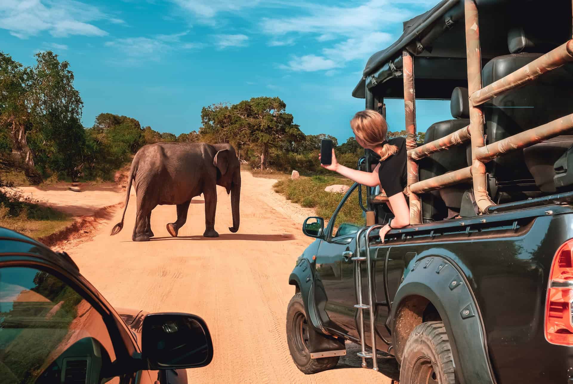 safar tanzanie quand partir safar tanzanie quand partir