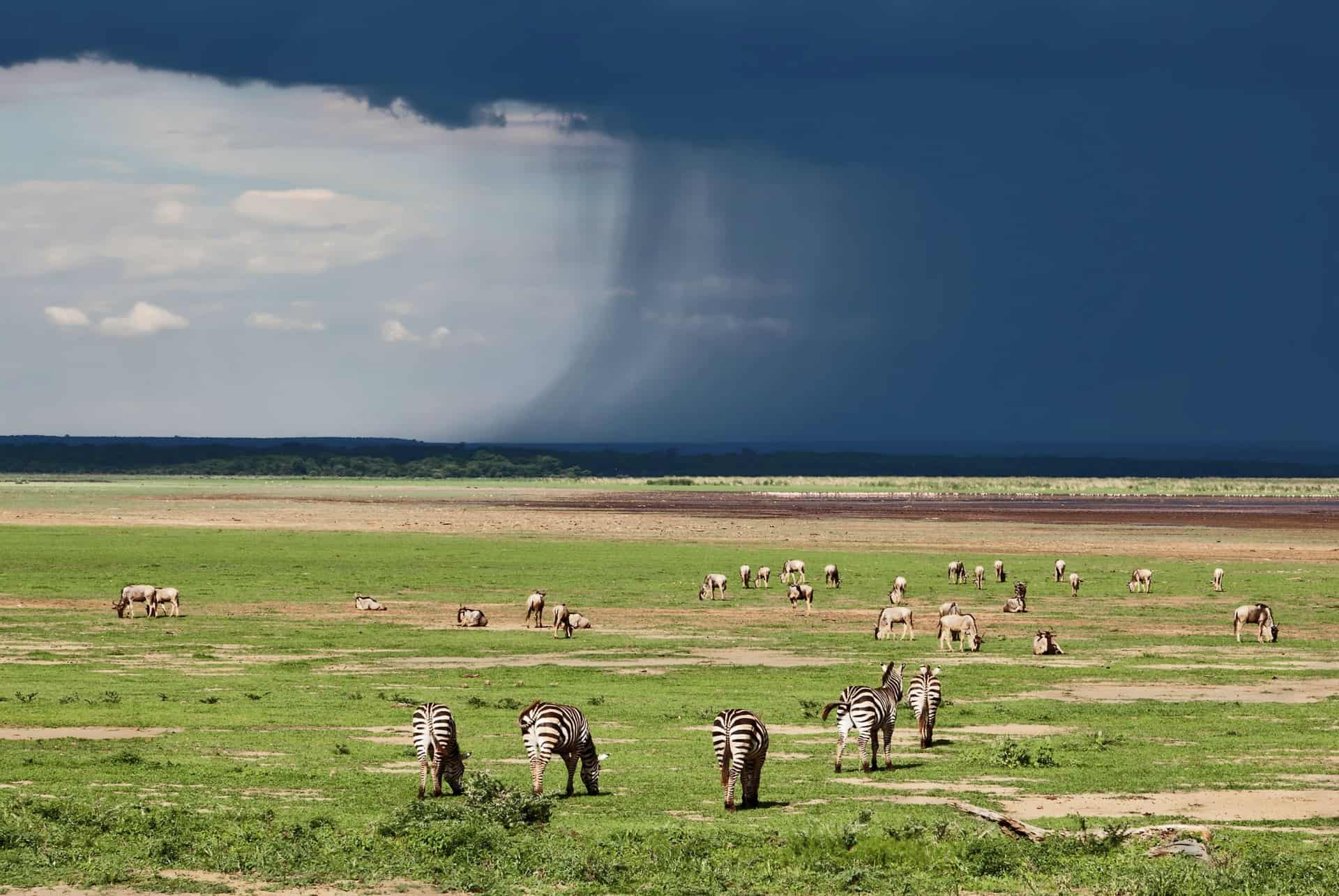 saison des pluies tanzanie saison des pluies tanzanie