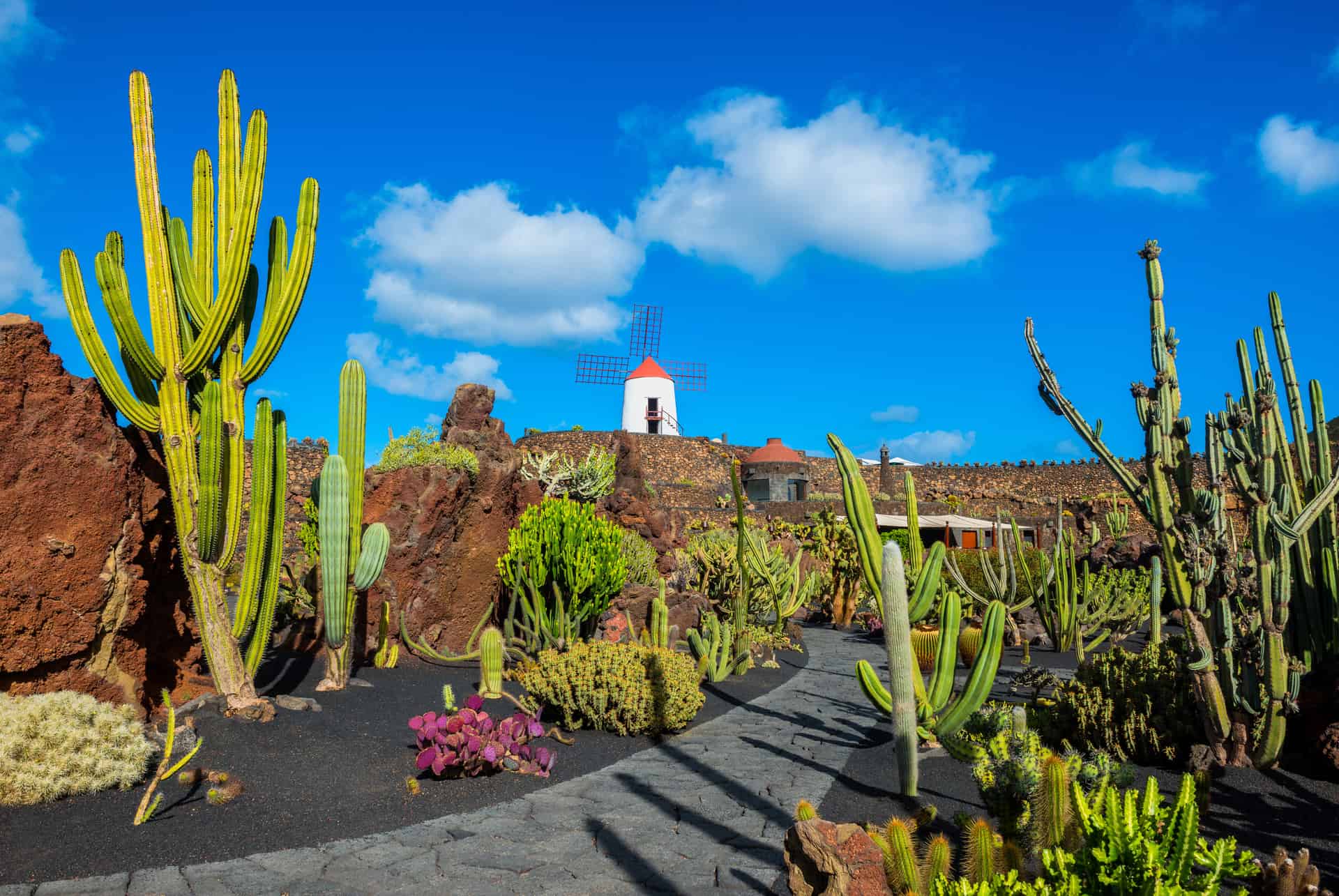 activites lanzarote activites lanzarote