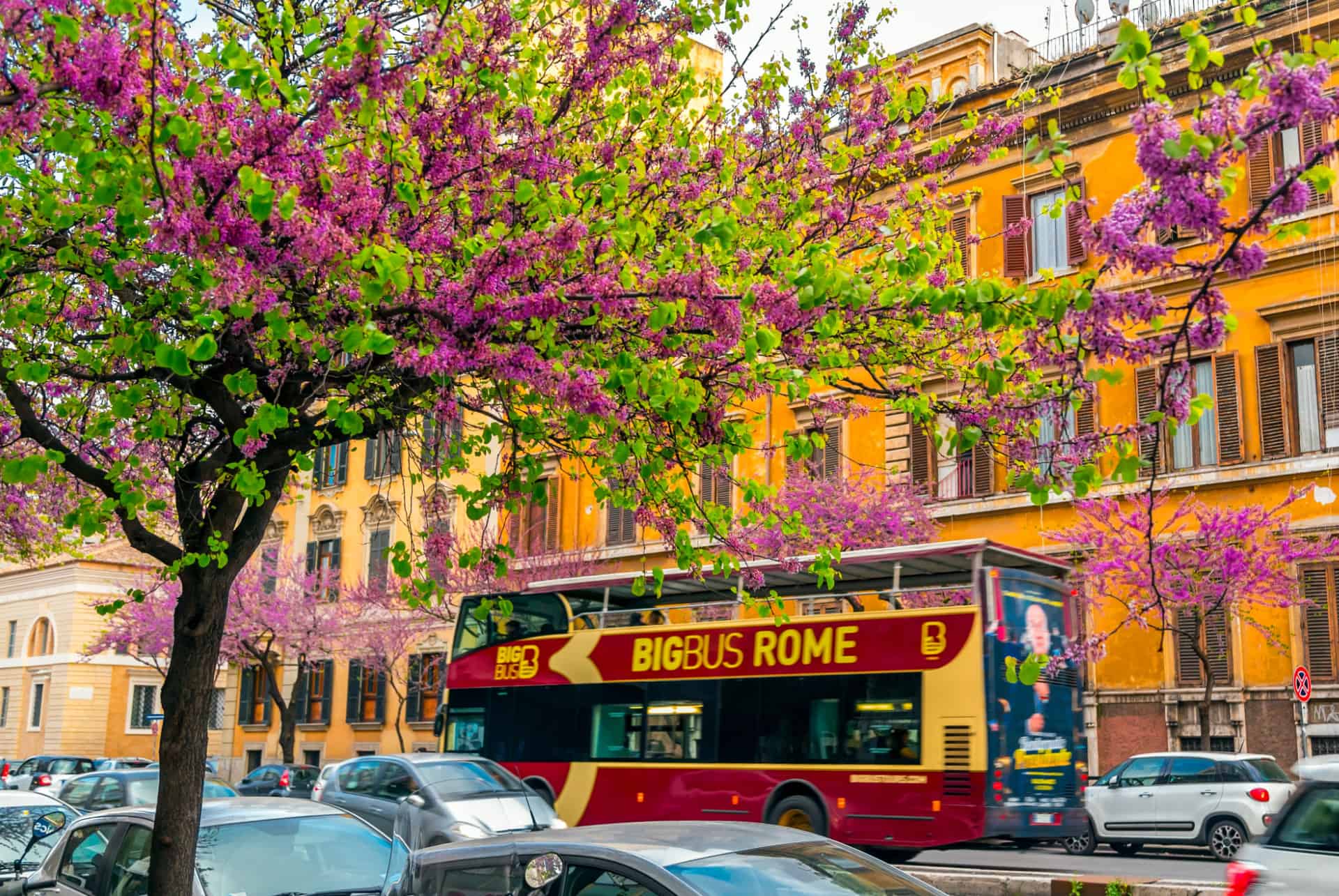 bigbus rome bigbus rome