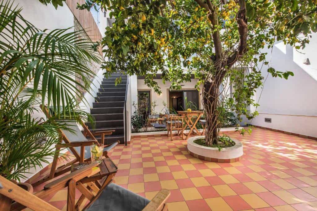 lemon tree stay road trip portugal lemon tree stay road trip portugal