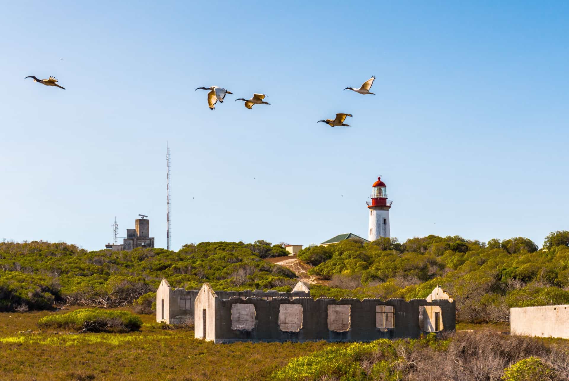 ile de robben island ile de robben island