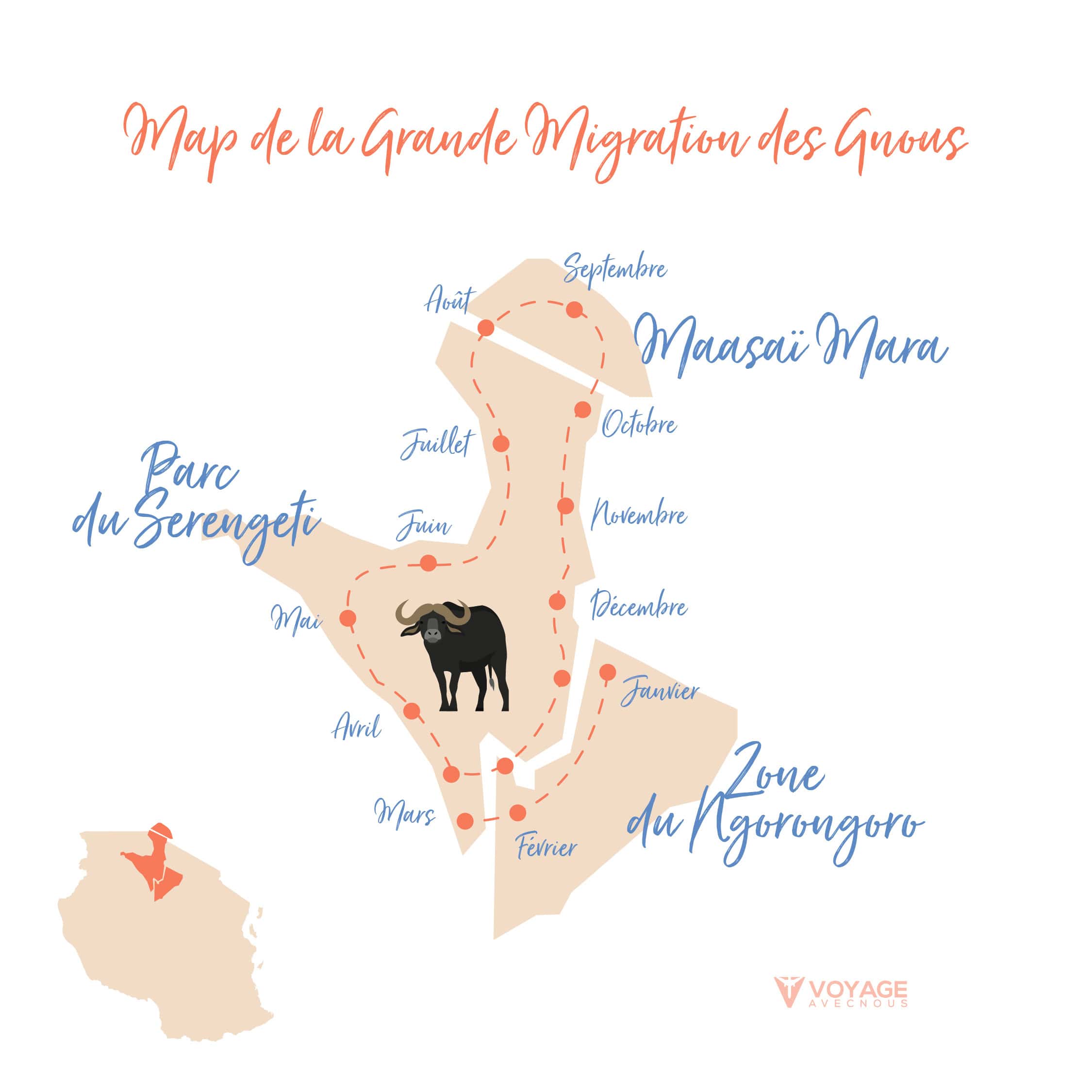 migration des gnous migration des gnous