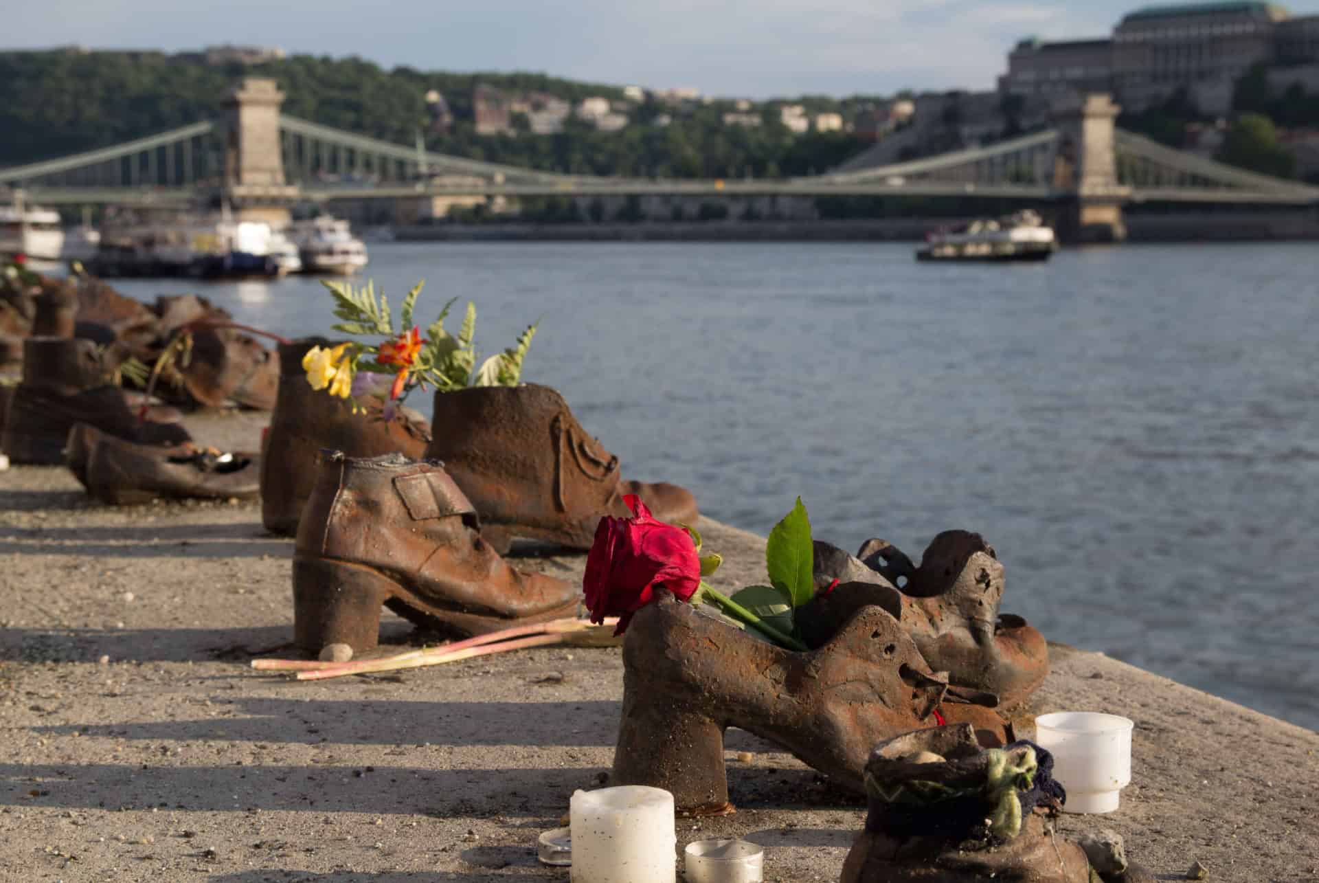 chaussures du danube chaussures du danube