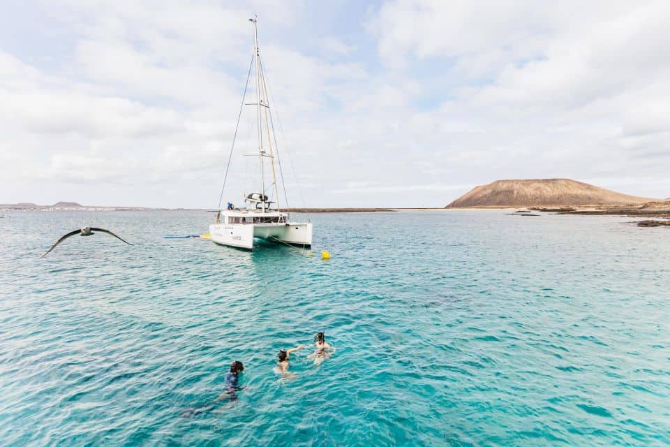 Excursion vers l'île de Lobos
