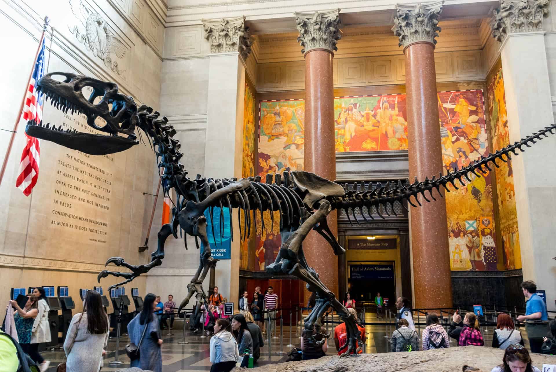 musees a new york histoire naturelle musees a new york histoire naturelle