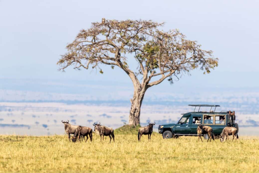 Safari de 3 jours dans le Masai Mara