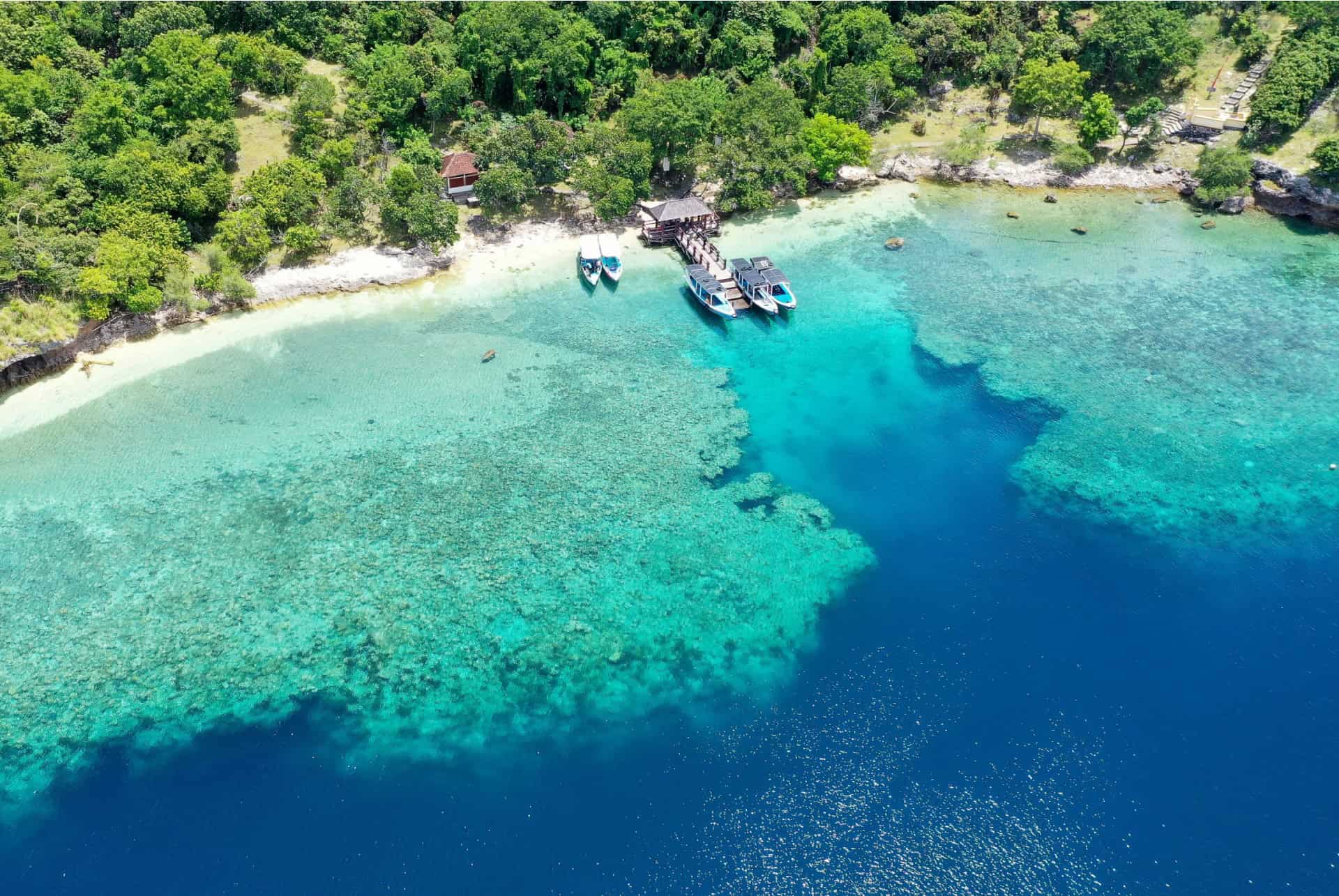 L'île Menjangan barriere de coraux L'île Menjangan barriere de coraux