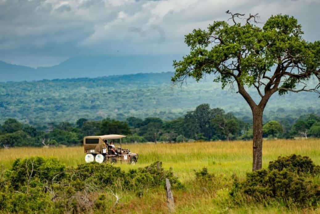1 jour de safari dans le parc national de Mikumi