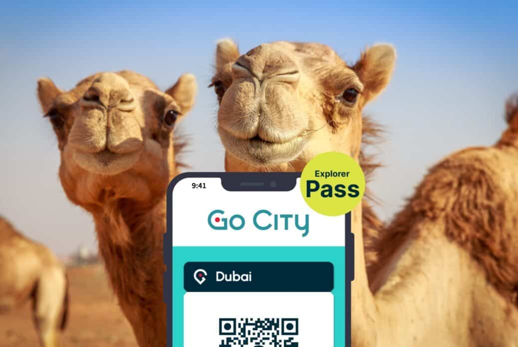 Explorer Pass Dubai