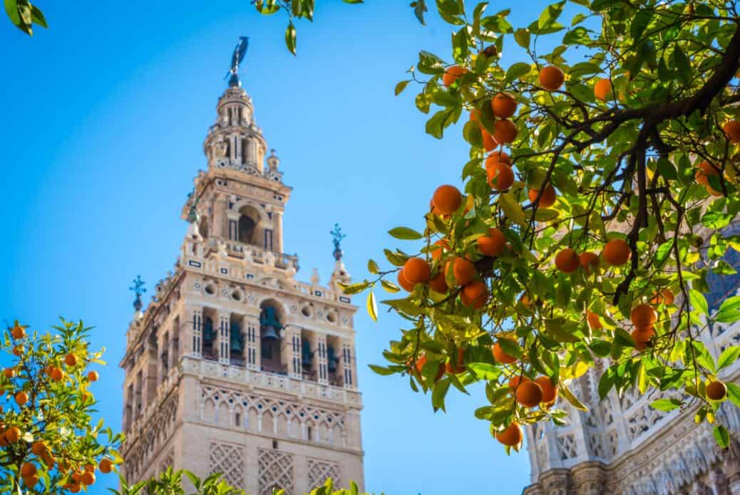Billet et visite guidée de l'Alcazár, de la cathédrale et de la Giralda