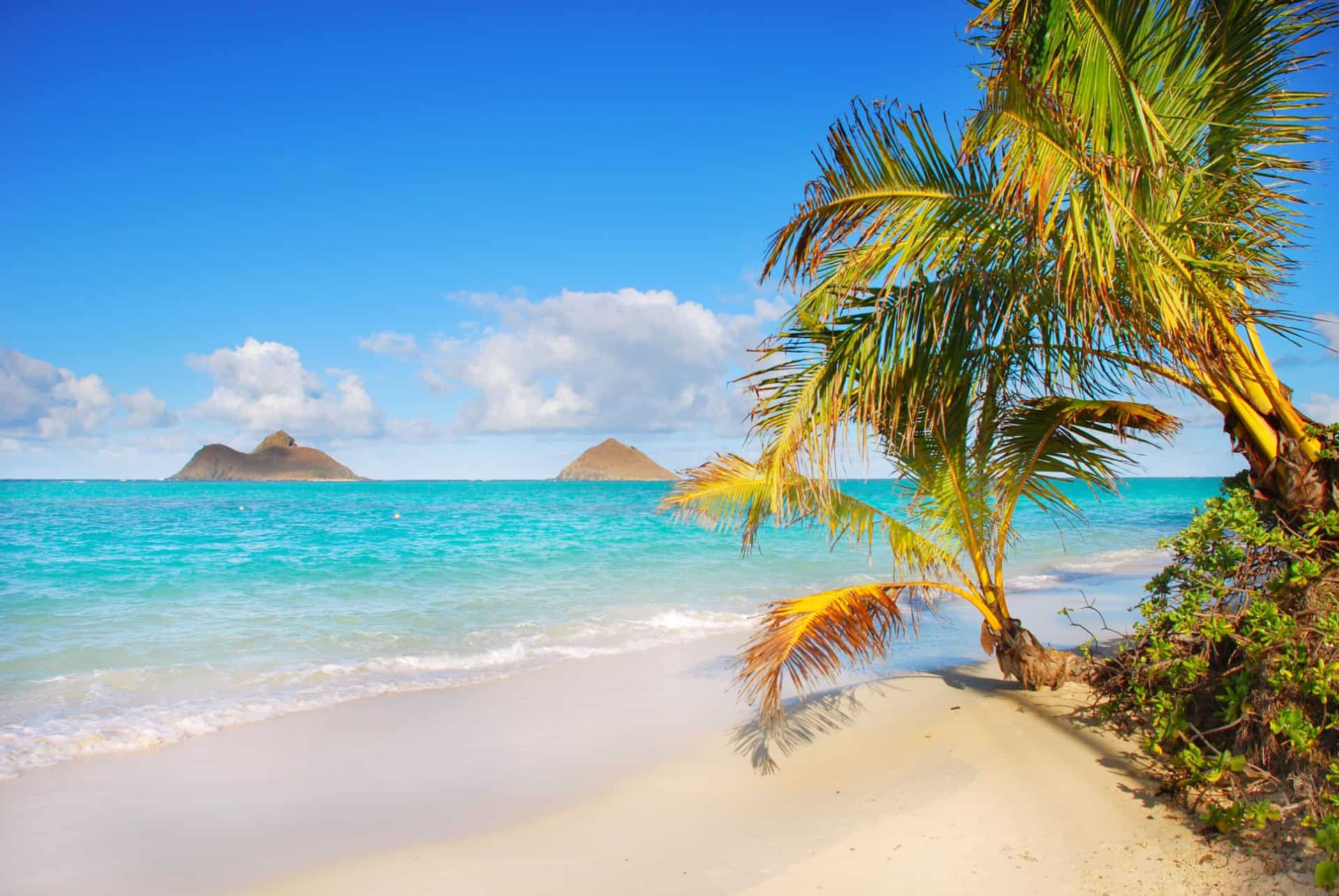 Hawaï