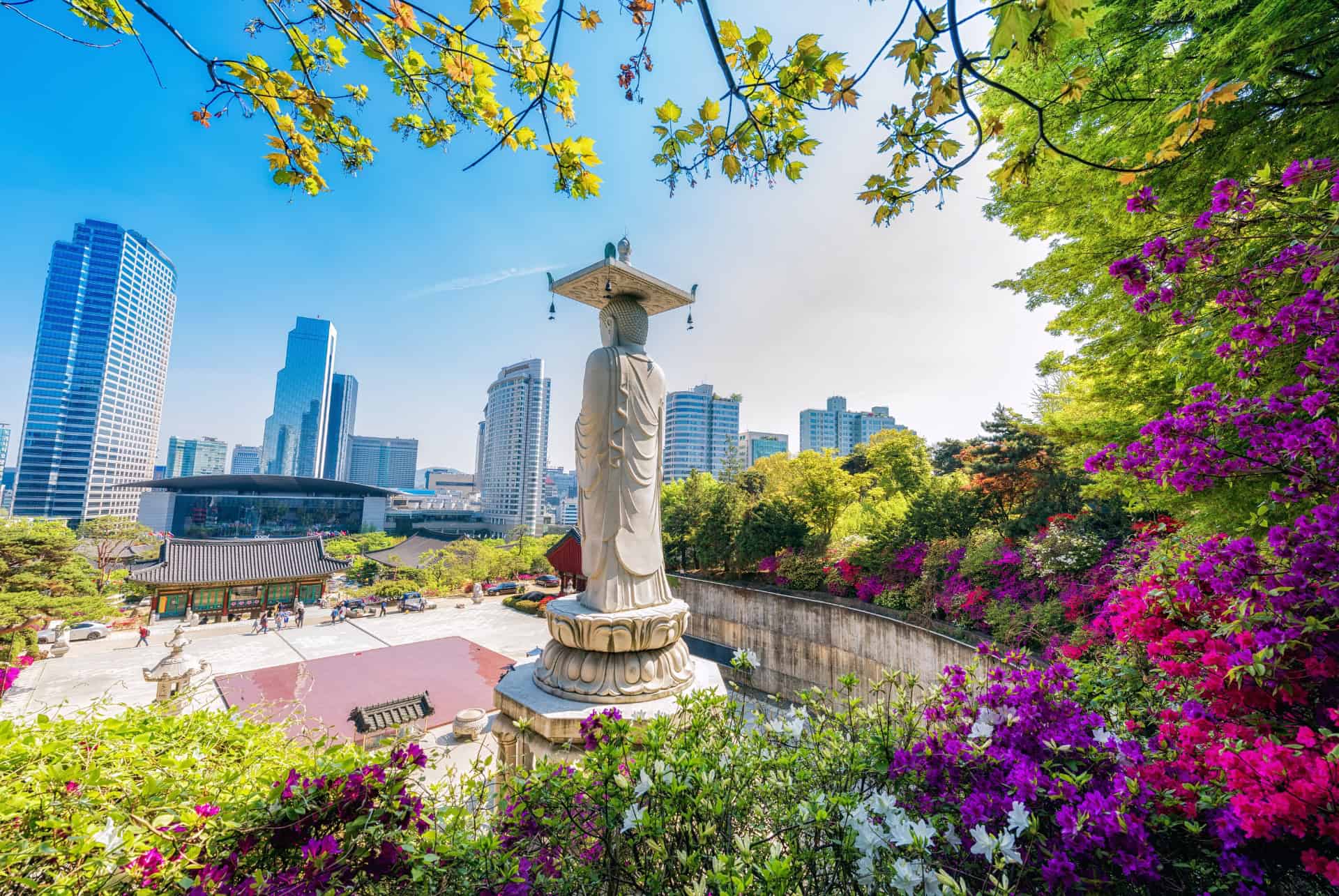 printemps a seoul printemps a seoul