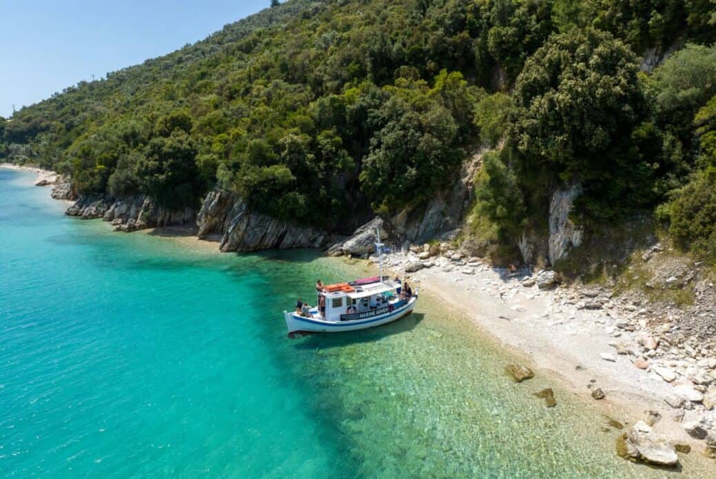 Croisière sur la faune marine
