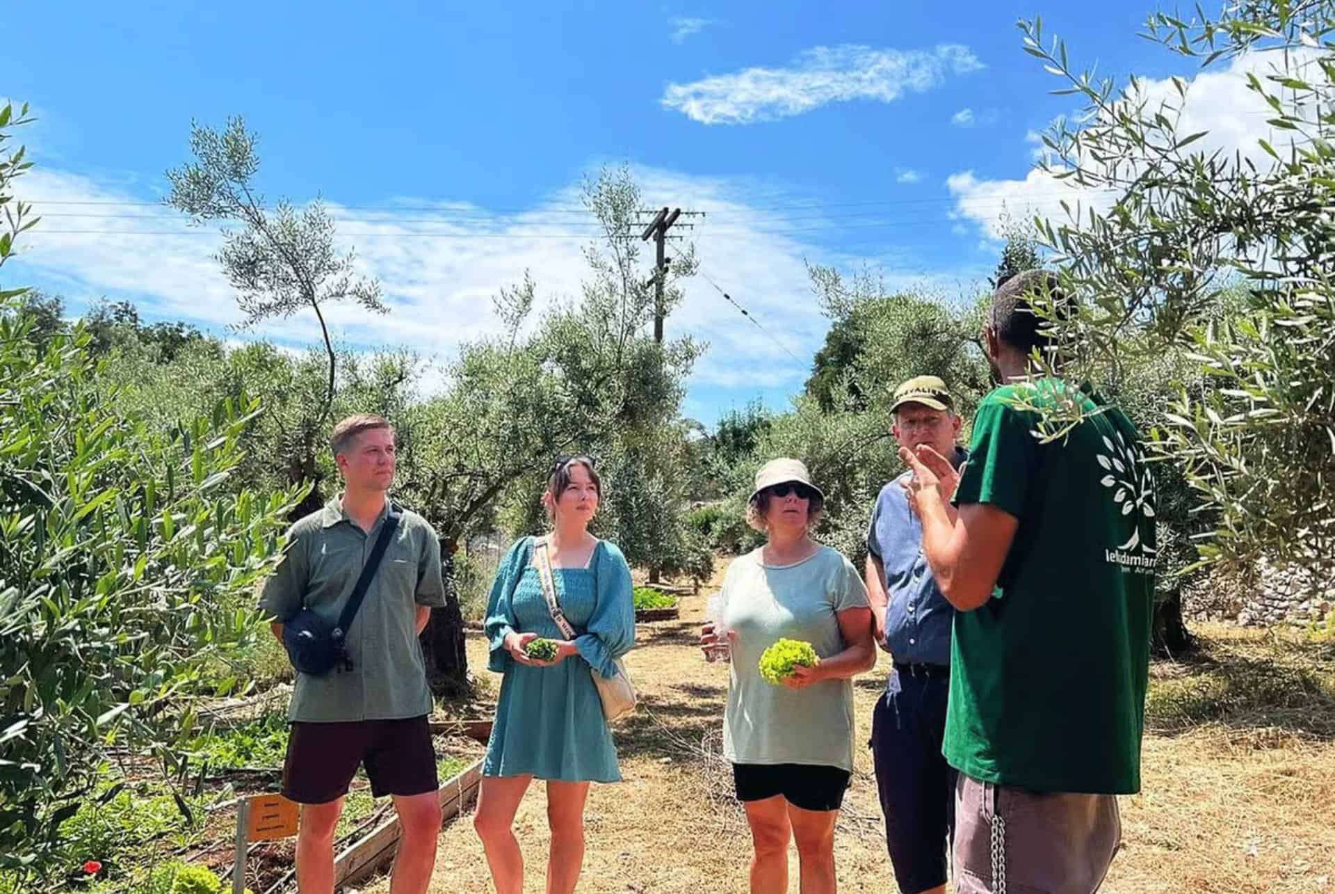 visite oliveraie lefkada visite oliveraie lefkada