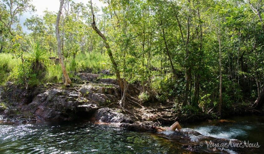 baignade litchfield national park